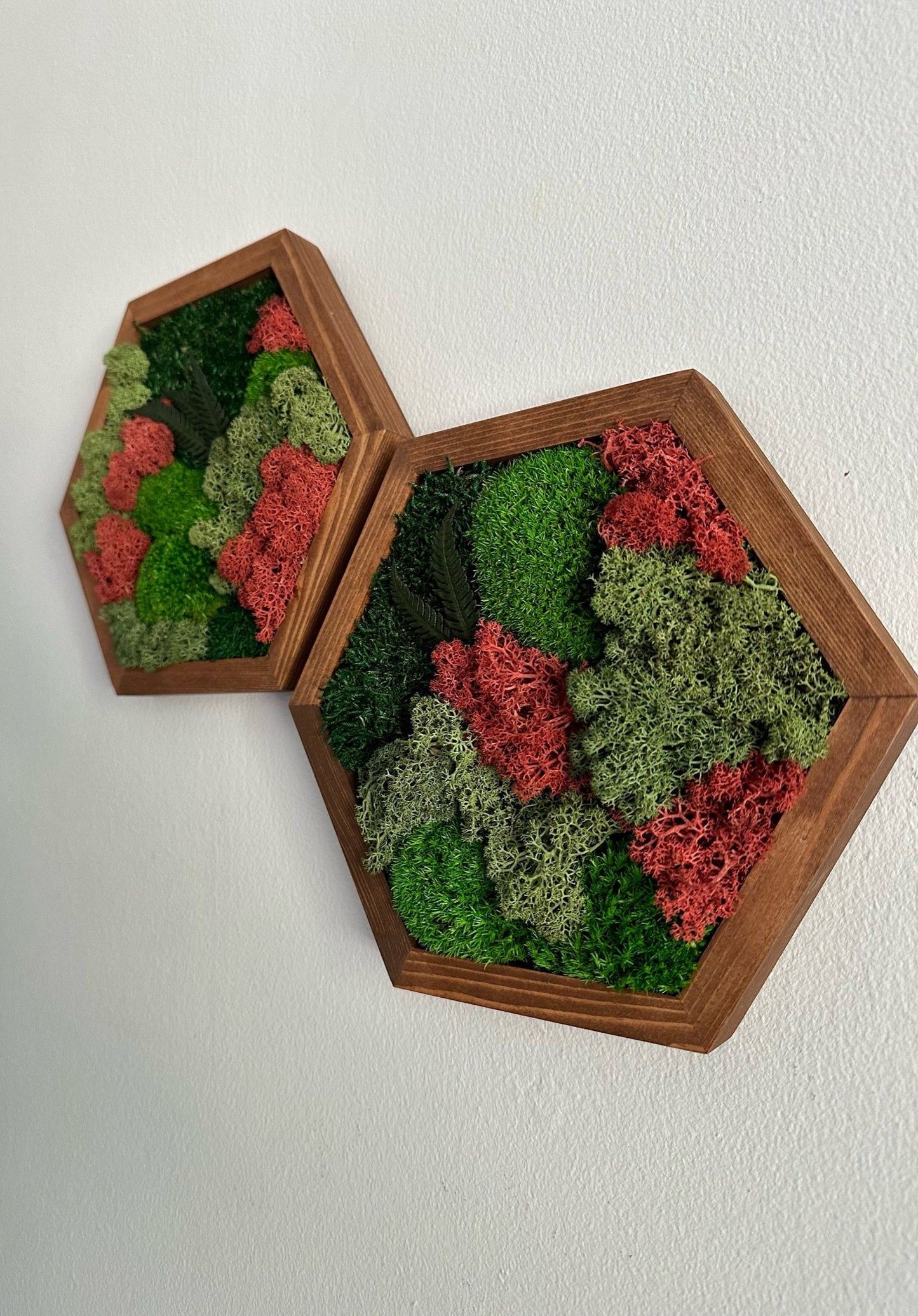 Moss Wall Art Decor | Handmade Wood Hexagon | Single Set to Six (8" x 9") or (10" x 11.6") | Preserved Lichen, Pole & Sheet Moss with Fern