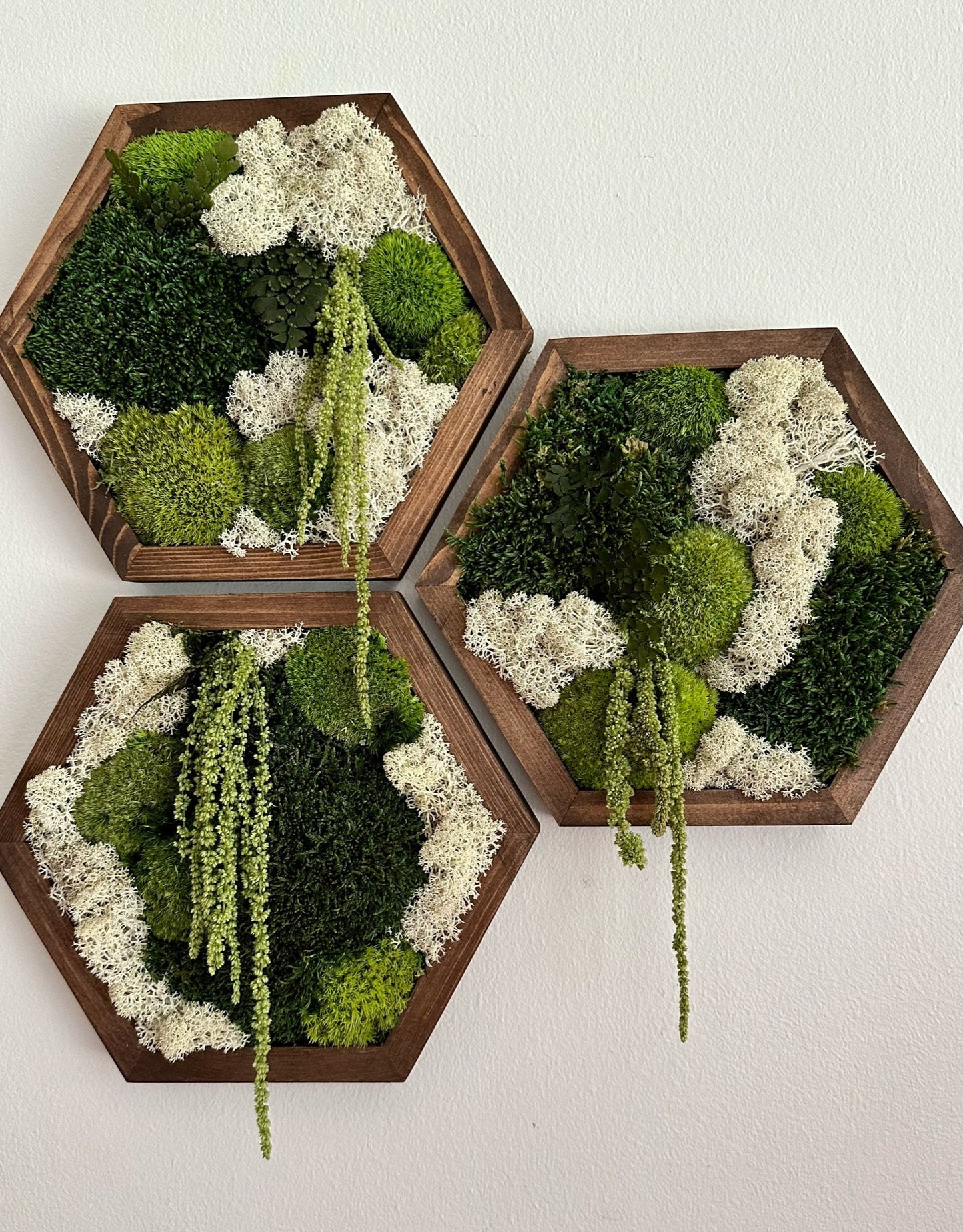 Handmade Moss Wall Art: Wood Hexagon with Preserved Reindeer Moss & Fern | USA - TARIFF FREE