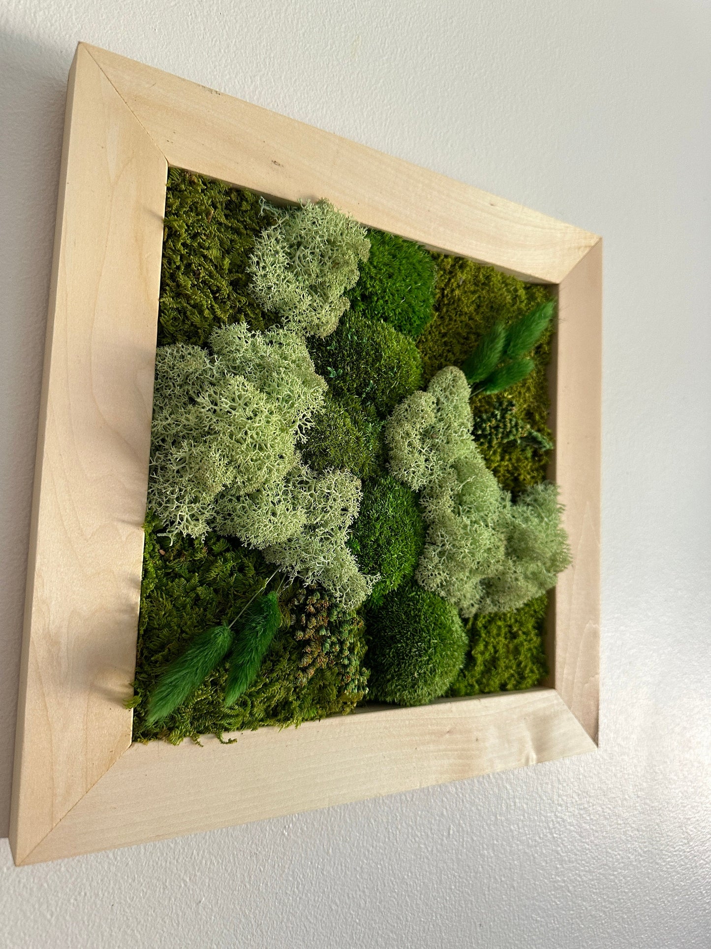 Moss Wall Art | Preserved Moss Art Framed | Square Frame | Green Moss Pole Moss with Preserved Fern and Flowers