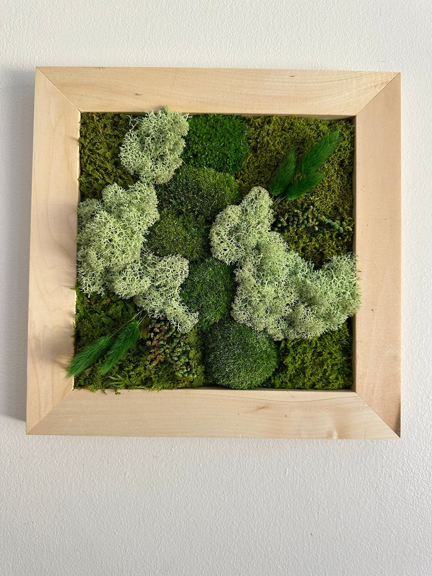 Moss Wall Art | Preserved Moss Art Framed | Square Frame | Green Moss Pole Moss with Preserved Fern and Flowers