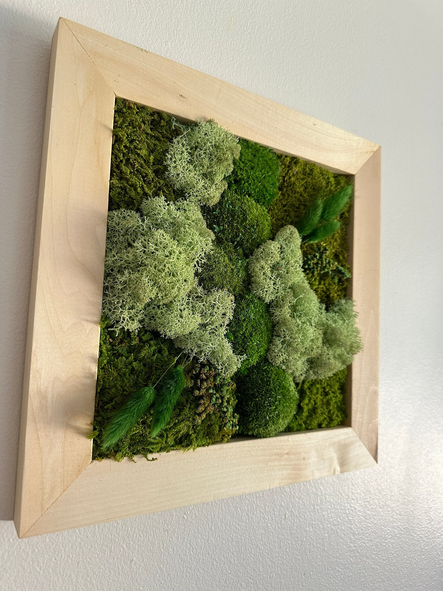 Moss Wall Art | Preserved Moss Art Framed | Square Frame | Green Moss Pole Moss with Preserved Fern and Flowers
