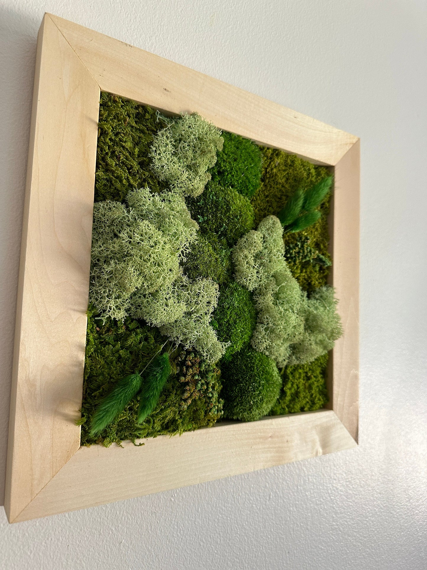 Moss Wall Art | Preserved Moss Art Framed | Square Frame | Green Moss Pole Moss with Preserved Fern and Flowers