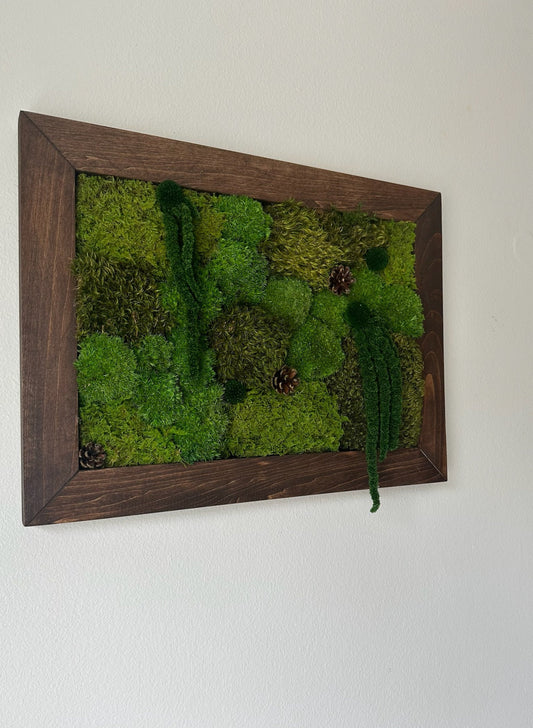 Preserved Moss Wall Art: Rectangle Wood Frame, Natural Home Decor | USA - TARIFF FREE