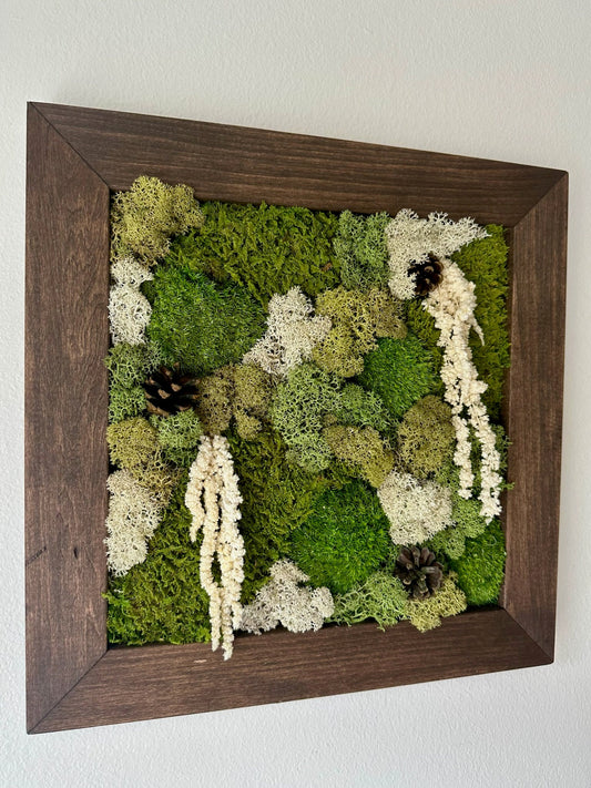 Preserved Moss Wall Art: Square Wood Frame with Fern & Flowers | USA - TARIFF FREE