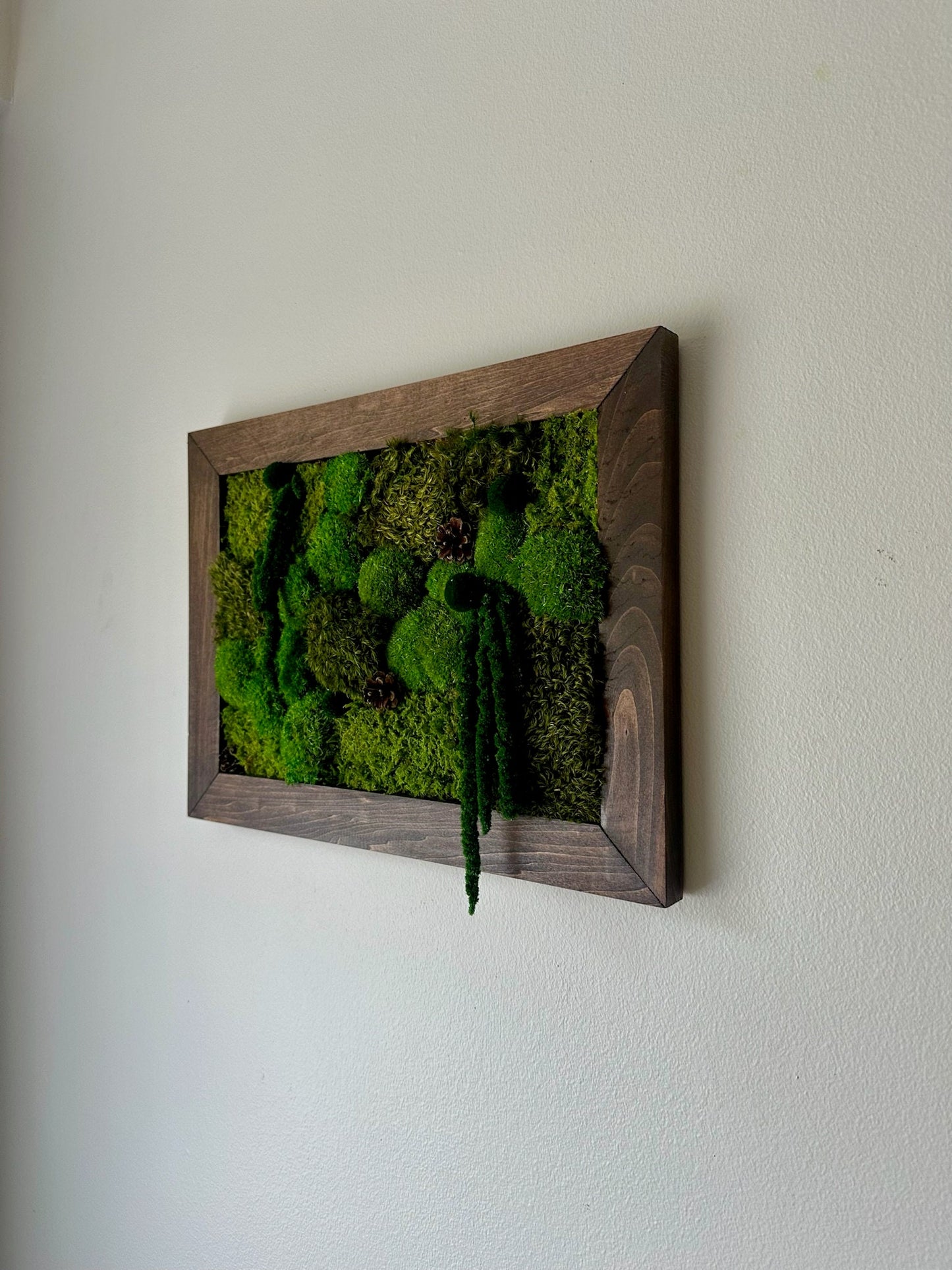 Moss Wall Art | Preserved Moss Framed | Moss Wall Decor | Moss Wall Art | Set of 1 - 4 | Rectangle Wood Frame | Medium Green, Mint and White