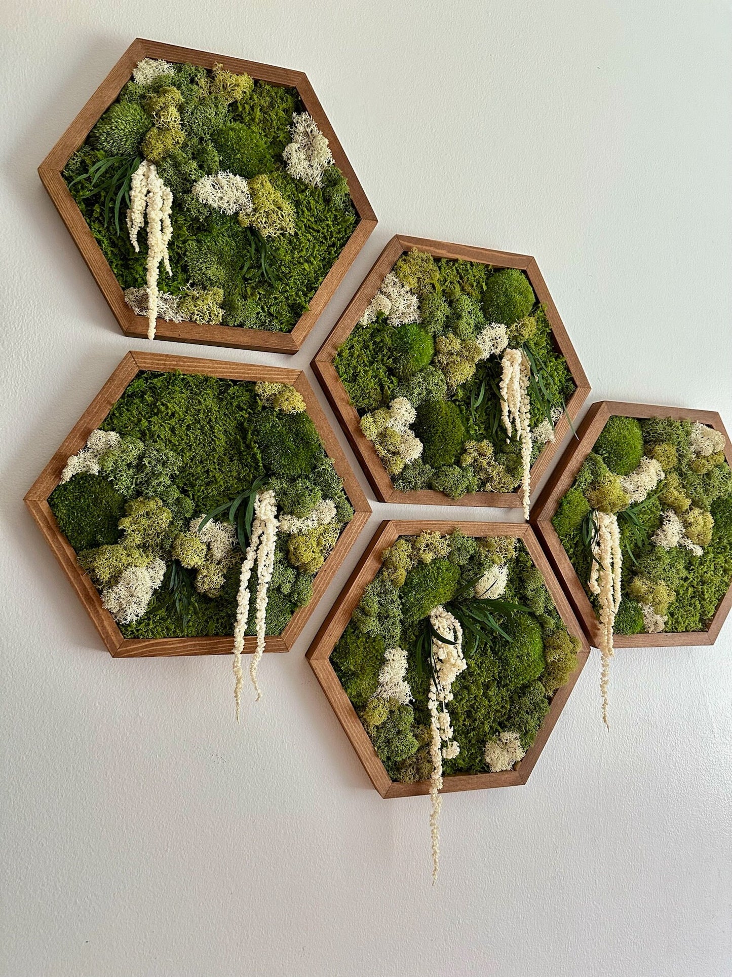 Handmade Preserved Moss Wall Art: Wood Hexagon Frame | USA - TARIFF FREE