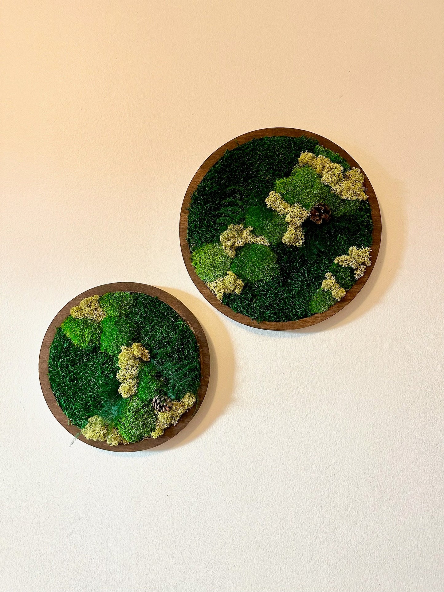 Moss Wall Art Circle Frame | Preserved Moss Art Framed | Moss Wall Decor | Single or Set of 2 | Reindeer & Sheet Moss | Christmas Gift