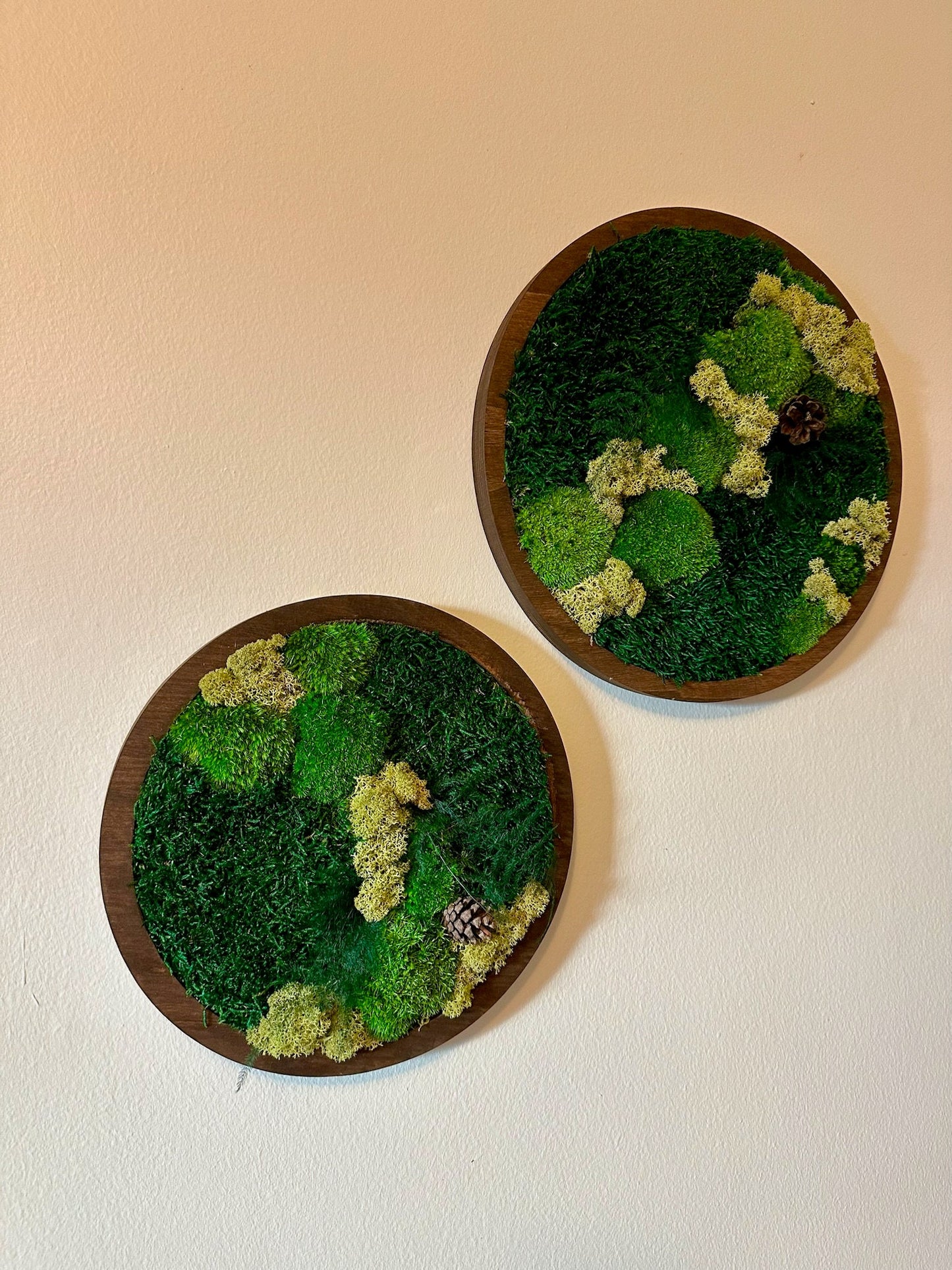 Moss Wall Art Circle Frame | Preserved Moss Art Framed | Moss Wall Decor | Single or Set of 2 | Reindeer & Sheet Moss | Christmas Gift