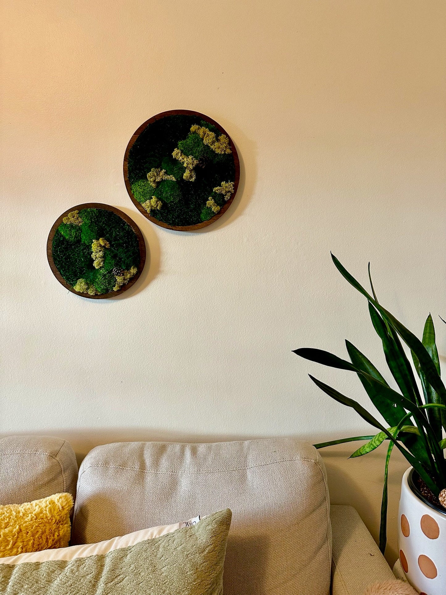 Moss Wall Art Circle Frame | Preserved Moss Art Framed | Moss Wall Decor | Single or Set of 2 | Reindeer & Sheet Moss | Christmas Gift
