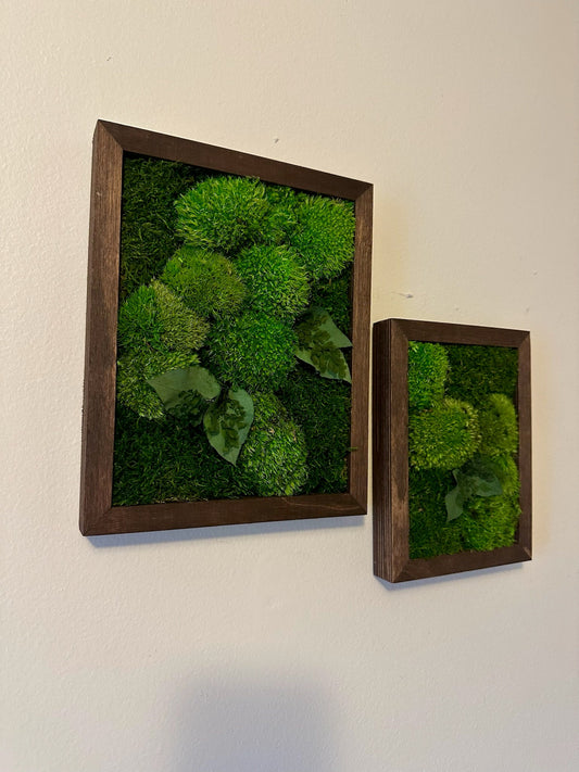 Preserved Reindeer Moss Wall Art: Wood Frame, Rectangle | USA - TARIFF FREE