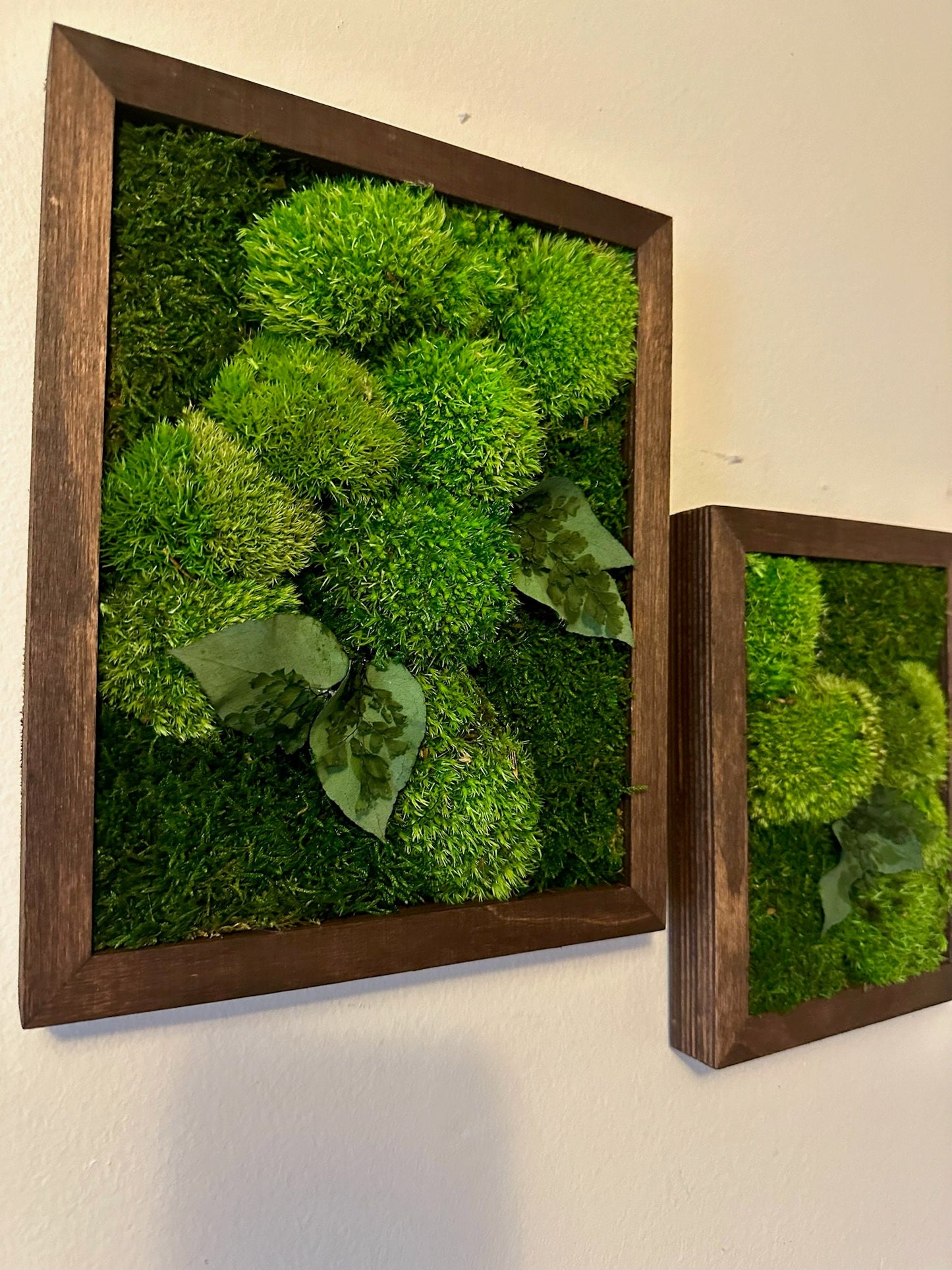 Moss Wall Art Rectangle Frame | Preserved Moss Art | Wood Frame | Moss Wall Decor | Single or Set of 2 | Pole & Sheet Moss | Christmas Gift