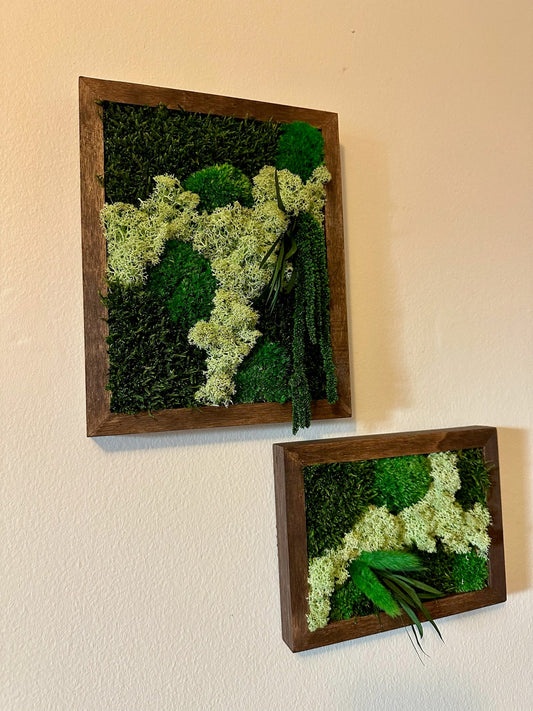 Preserved Moss Wall Art: Reindeer, Pole & Sheet Moss Framed | USA - TARIFF FREE