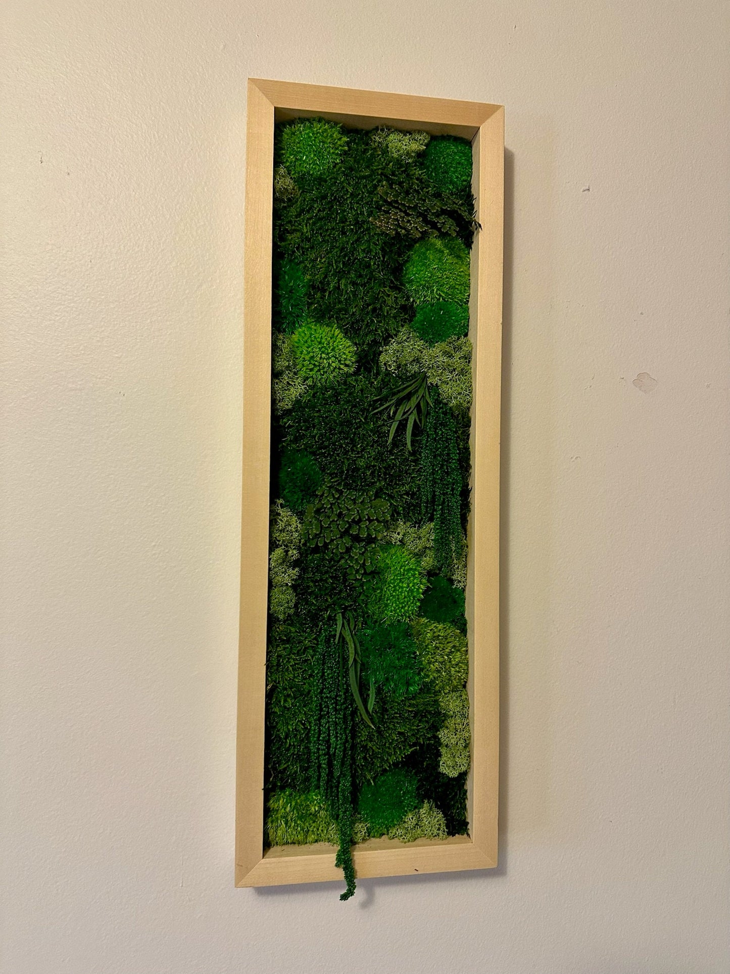 Preserved Reindeer Moss Wall Art: Framed Moss Decor Set | USA - TARIFF FREE