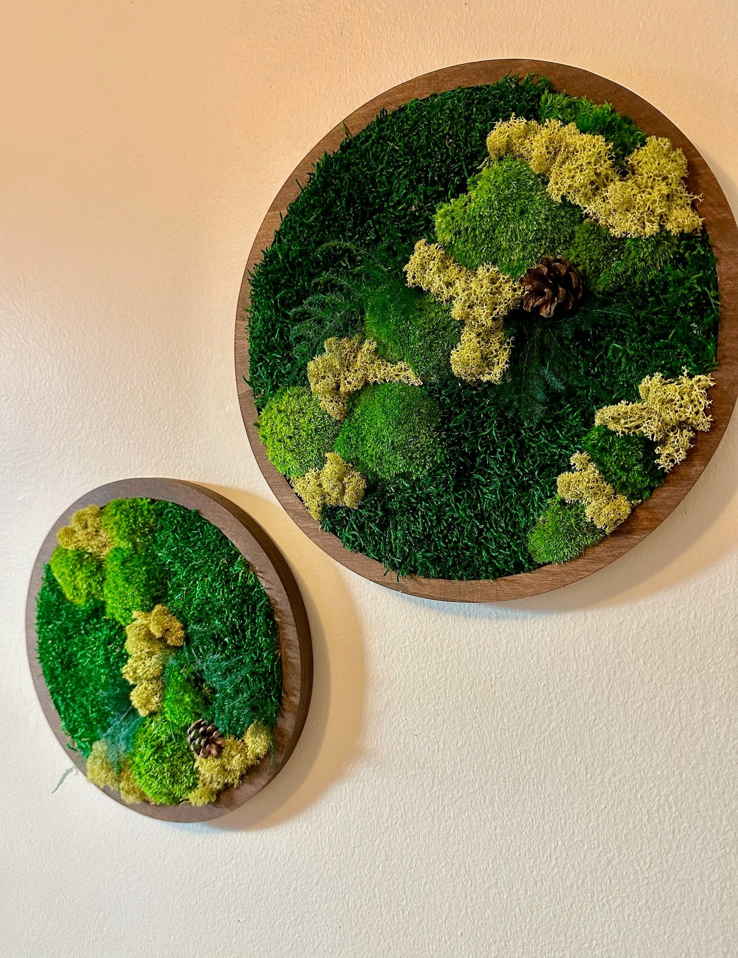 Moss Wall Art Circle Frame | Preserved Moss Art Framed | Moss Wall Decor | Single or Set of 2 | Reindeer & Sheet Moss | Christmas Gift