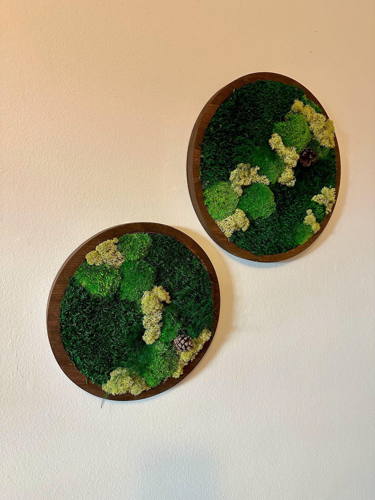 Moss Wall Art Circle Frame | Preserved Moss Art Framed | Moss Wall Decor | Single or Set of 2 | Reindeer & Sheet Moss | Christmas Gift
