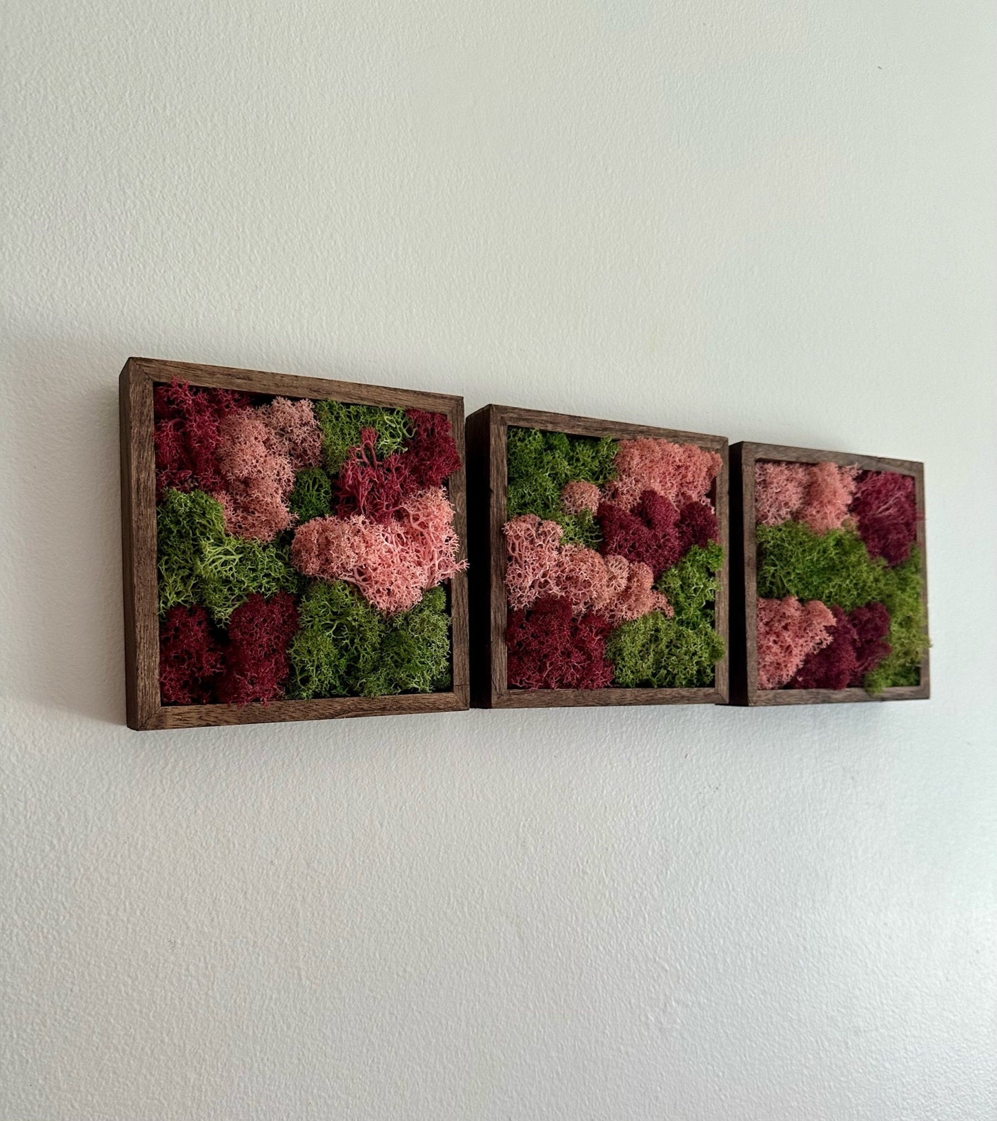 Moss Wall Art | Preserved Moss Art Framed | Moss Square Wood Frame | Green and Pink