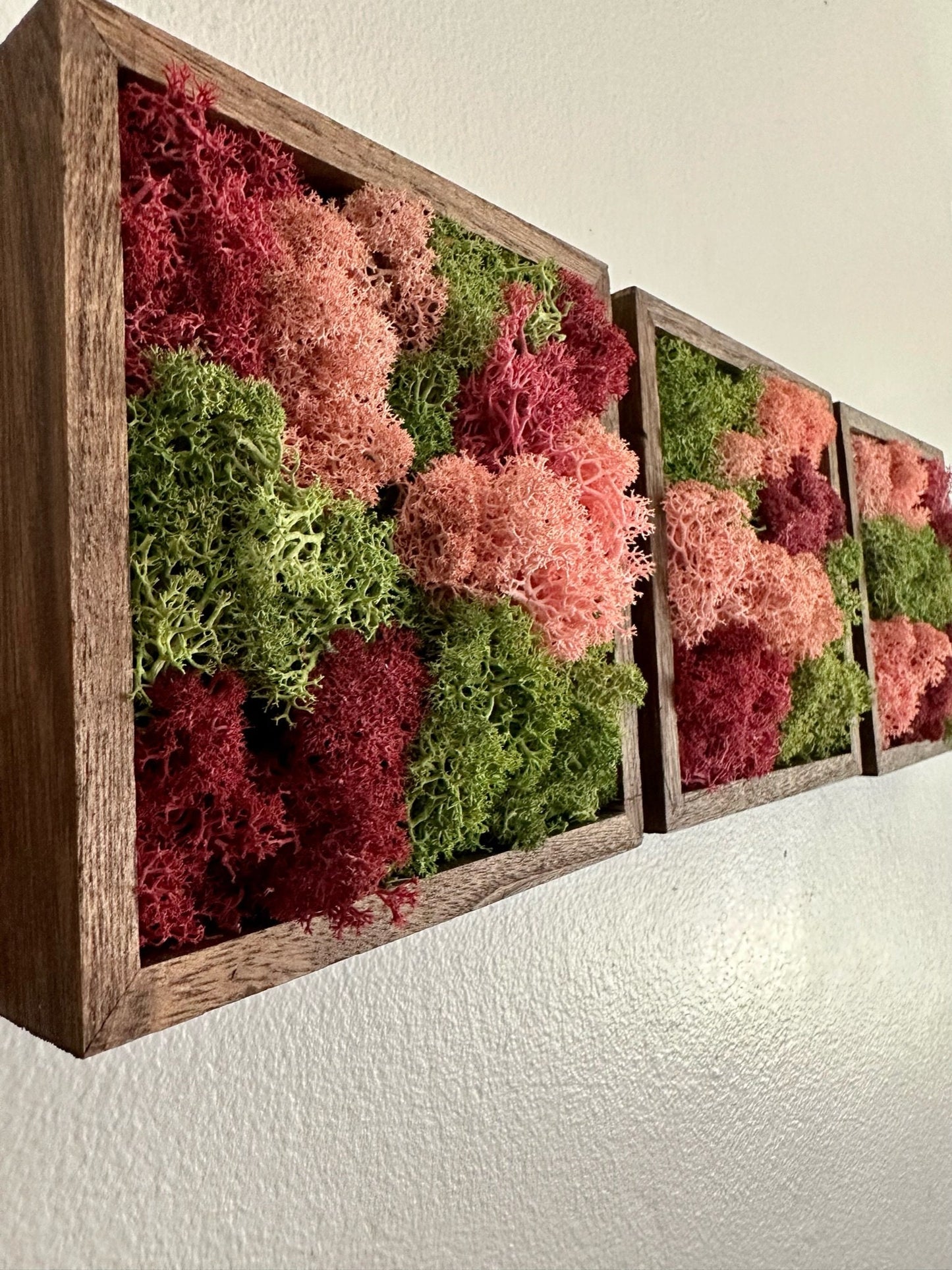 Moss Wall Art | Preserved Moss Art Framed | Moss Square Wood Frame | Green and Pink