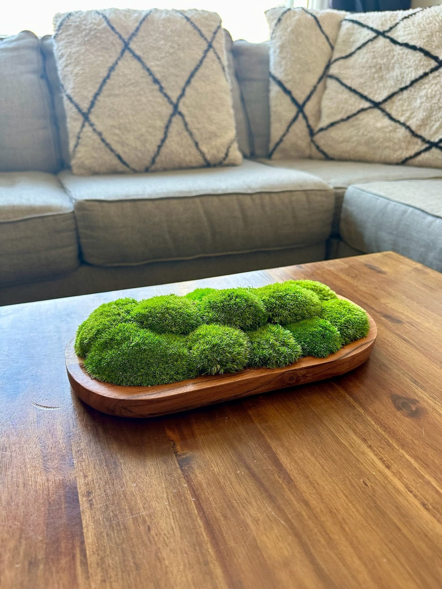 Moss Centerpiece | Pole Moss | Moss Planter | Preserved Moss Gift | Wood Nature Bowl | Green Pole Moss | Wedding Gift | Wedding Centerpieces