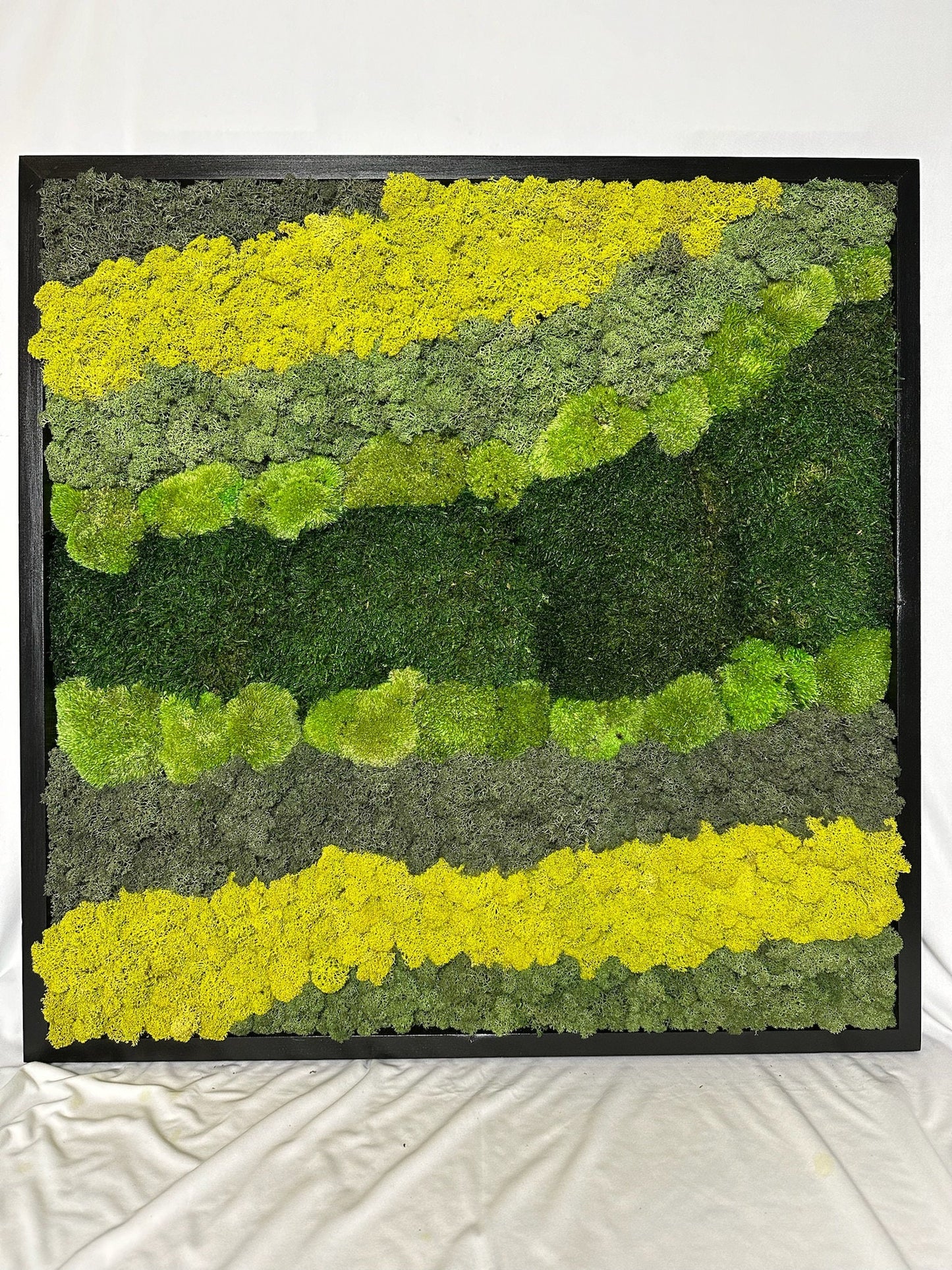 Moss Wall Art | Preserved Moss Art | Moss Wall Decor | Wood Frame Sets | Large Square 20" x 20" | Set of 1 to 8 | Reindeer Sheet Pole Moss
