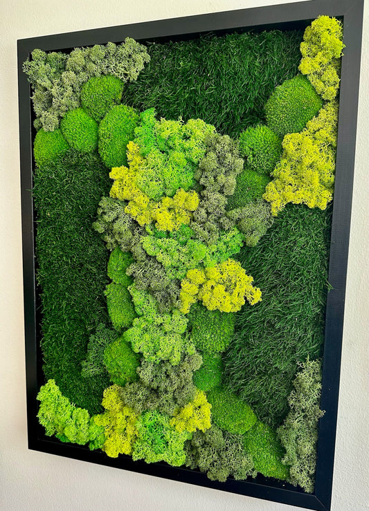 Preserved Reindeer Moss Wall Art: Wood Frame, Green Moss Decor | USA - TARIFF FREE
