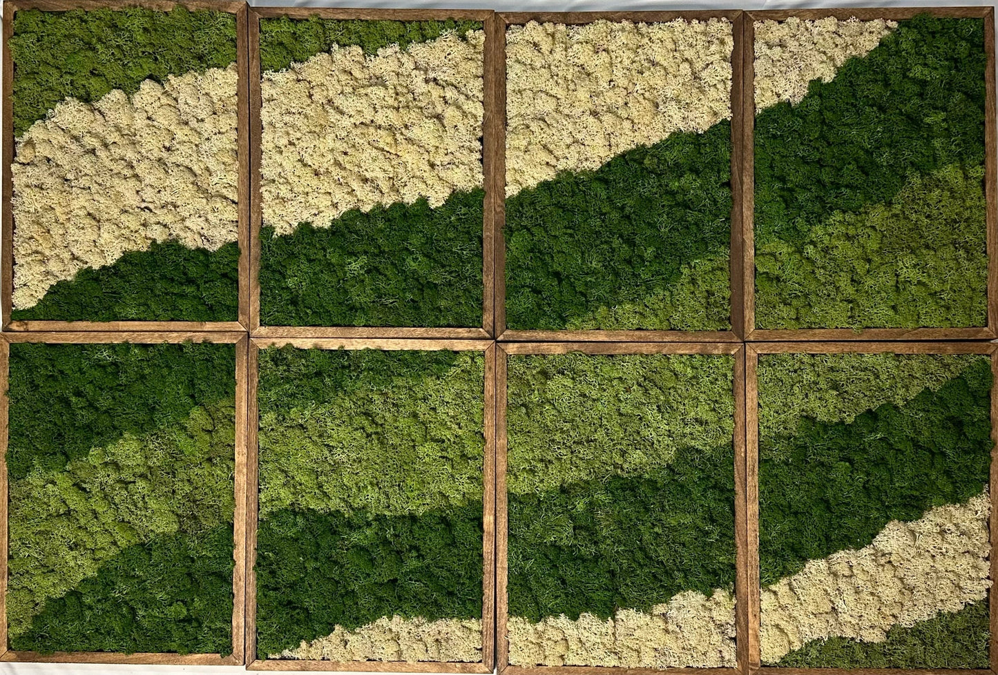 Moss Wall Art | Reindeer Moss Wall Decor | Moss Wall Art | Set of 1 - 8 | Rectangle Wood Frame | Canopy Green, Medium Green and Natural