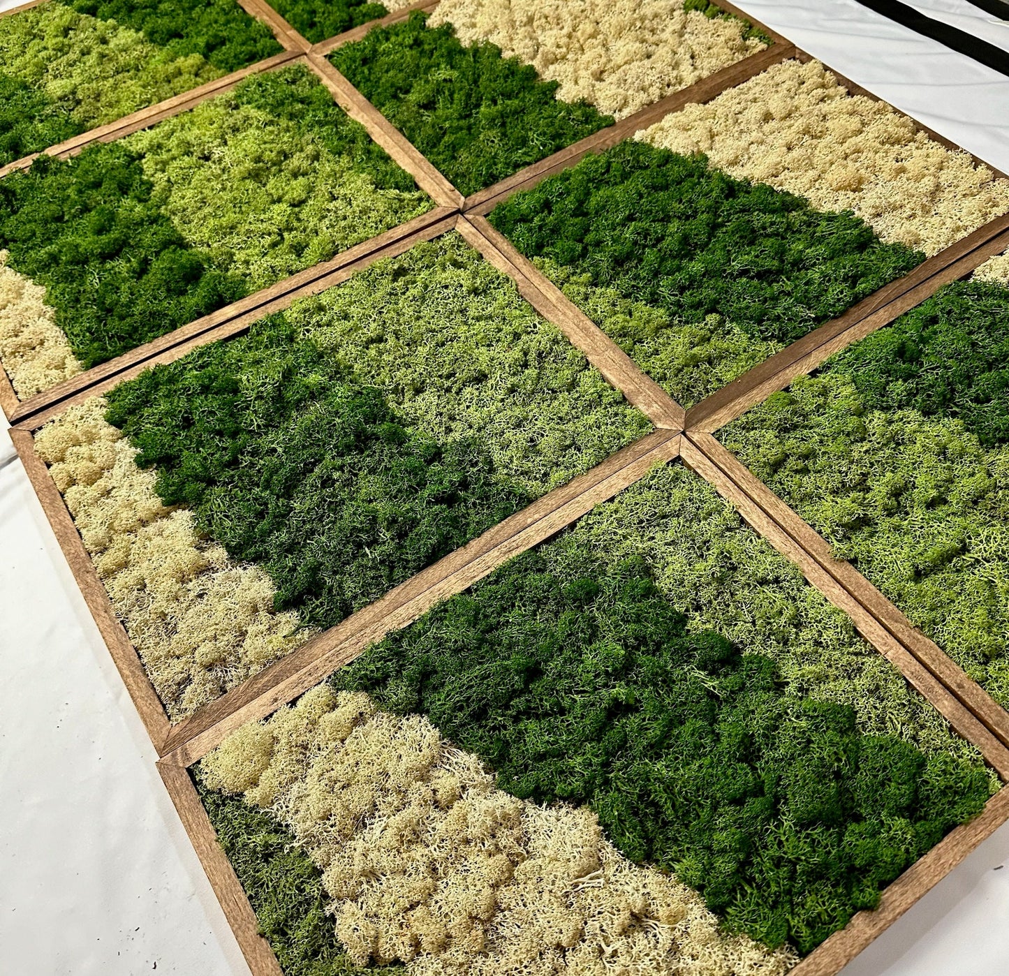 Moss Wall Art | Reindeer Moss Wall Decor | Moss Wall Art | Set of 1 - 8 | Rectangle Wood Frame | Canopy Green, Medium Green and Natural