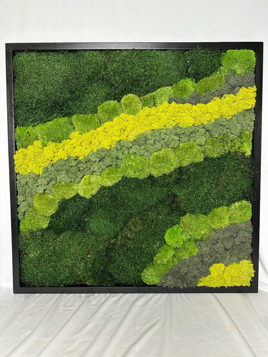Preserved Reindeer Moss Wall Art: 20" Square Wood Frame Sets | USA - TARIFF FREE