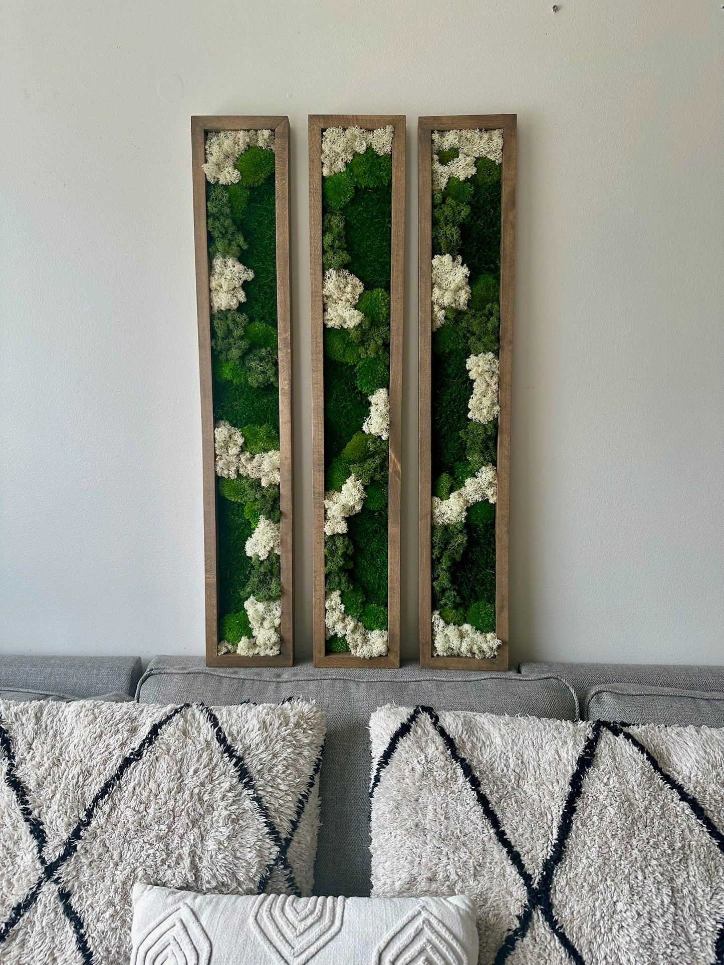 Preserved Reindeer Moss Wall Art: Wood Frame Set | USA - TARIFF FREE