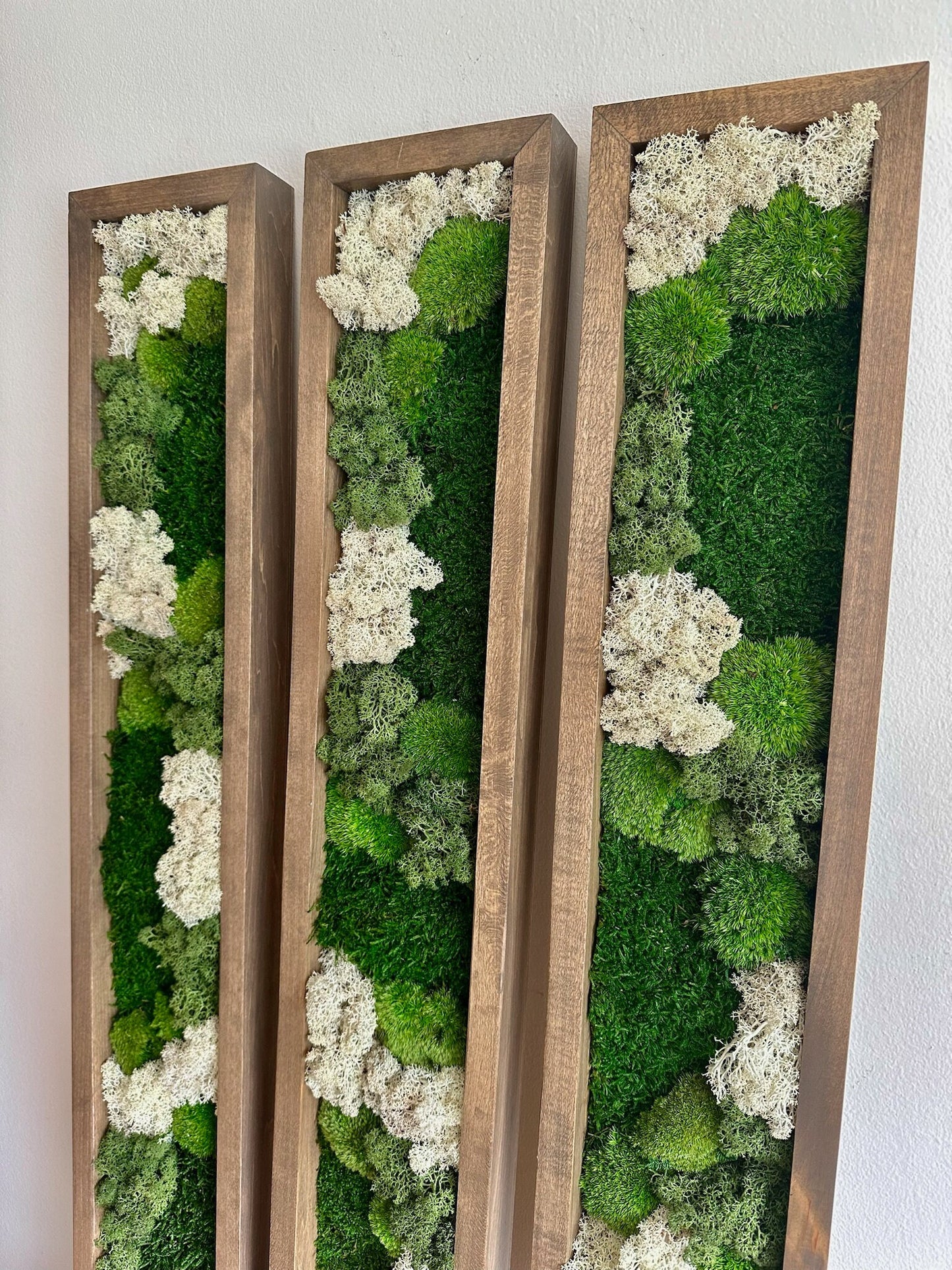 Moss Wall Art | Preserved Moss Art | Moss Wall Decor | Wood Frame Sets | Large Rectangle Single - Four Set | Green Reindeer Sheet Pole Moss