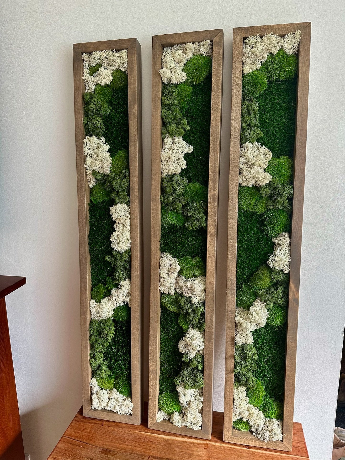 Moss Wall Art | Preserved Moss Art | Moss Wall Decor | Wood Frame Sets | Large Rectangle Single - Four Set | Green Reindeer Sheet Pole Moss
