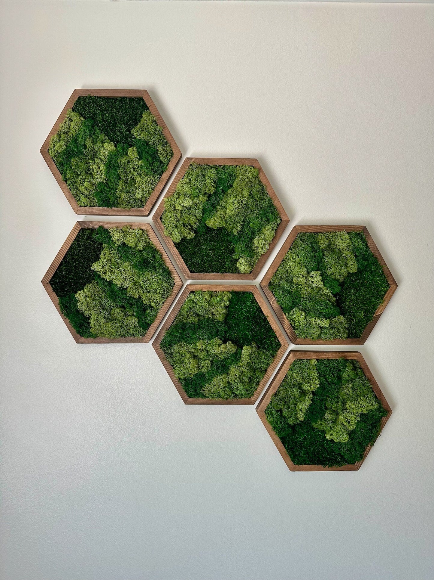 Handmade Wood Hexagon Moss Wall Art: Preserved Lichen & Fern Decor | USA - TARIFF FREE