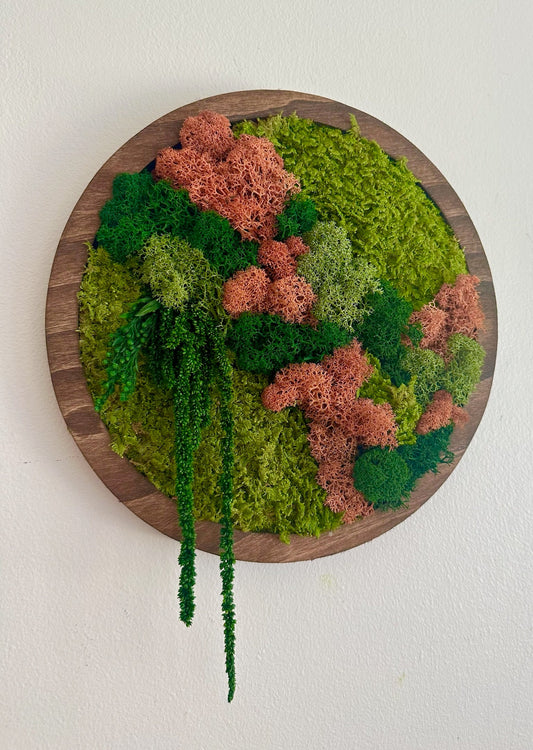 Preserved Moss Wall Art: Reindeer & Sheet Moss Circle Frame (10") | USA - TARIFF FREE