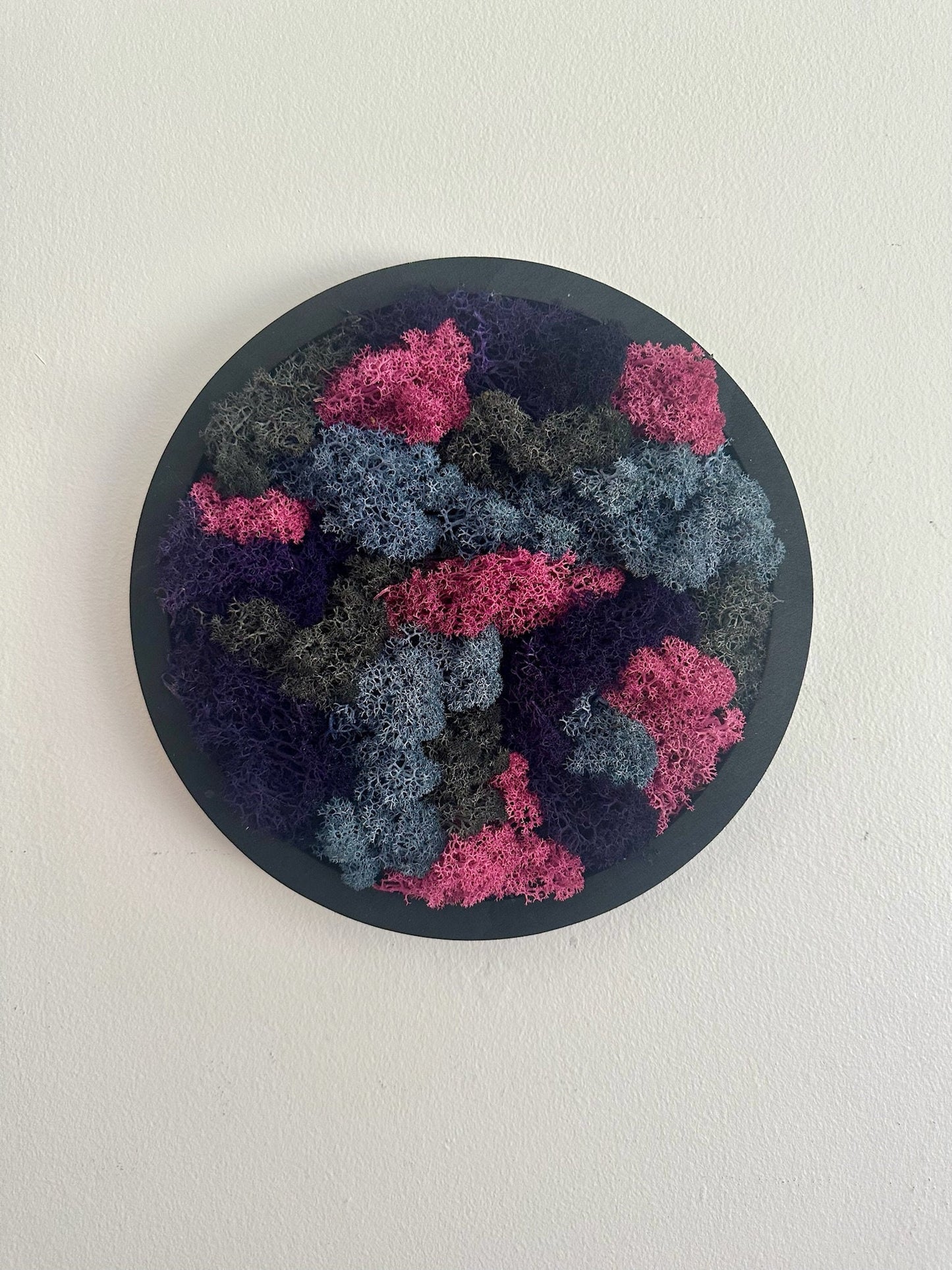 Moss Wall Art Circle Frame | Preserved Moss Art Framed | Moss Wall Decor | Single 10" | Reindeer & Sheet Moss | Christmas Gift