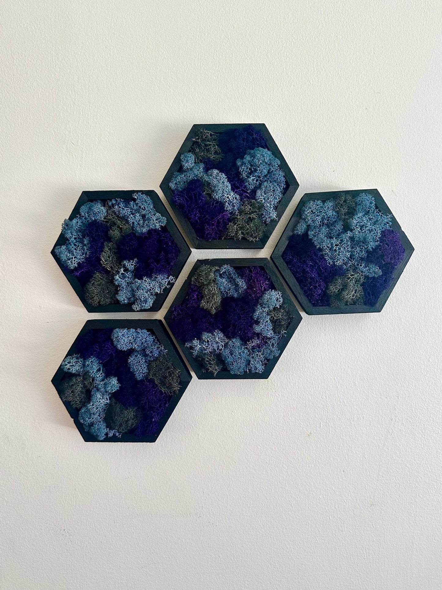 Preserved Reindeer Moss Wall Art: Wood Hexagon Set, Purple Blue Grey