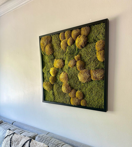Preserved Moss Wall Art: 30x30" Wood Frame, Reindeer Moss | USA - TARIFF FREE