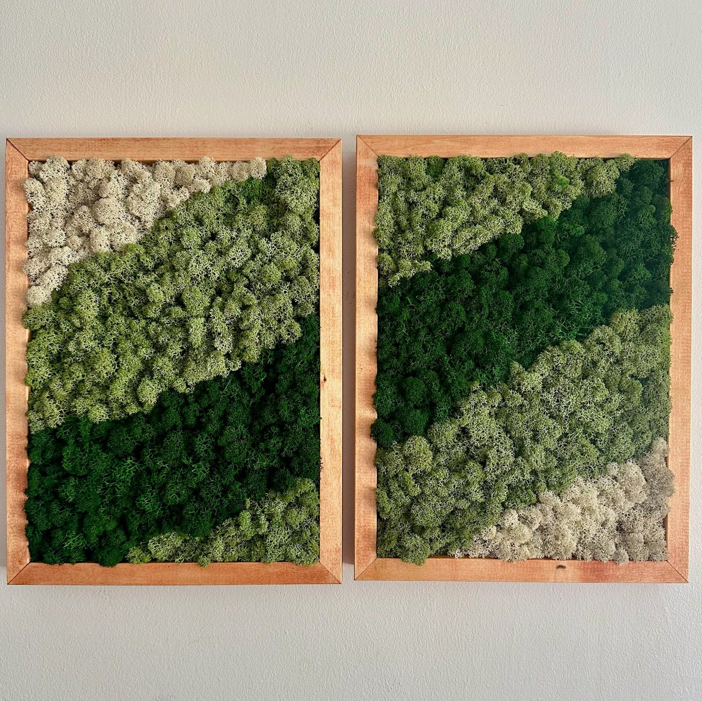 Moss Wall Art | Preserved Moss Framed | Moss Wall Decor | Moss Wall Art | Set of 1 - 4 | Rectangle Wood Frame | Dark Green, Mint and White