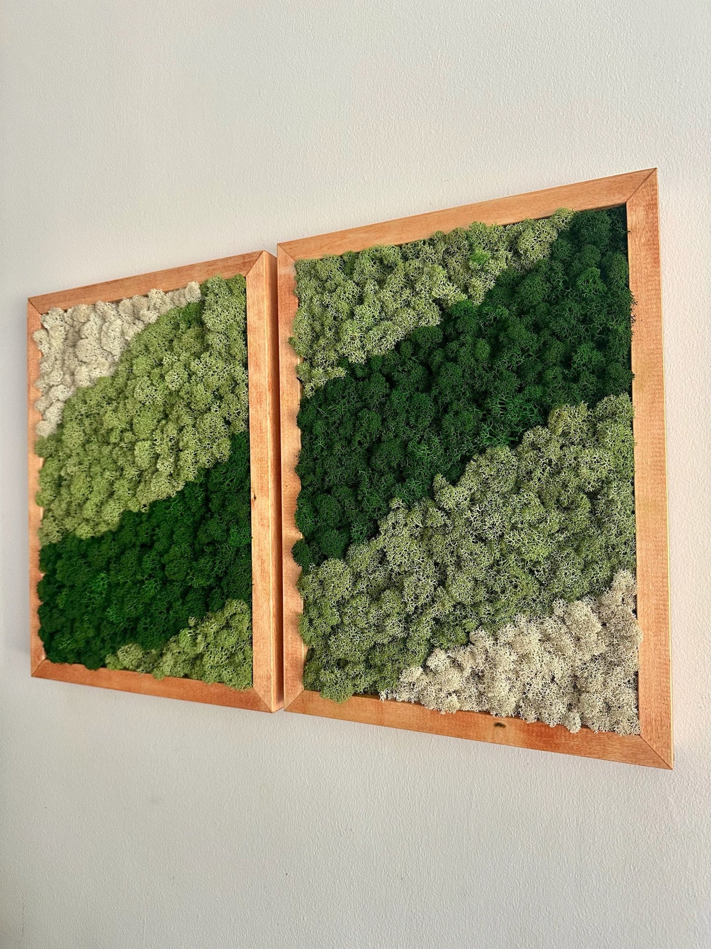 Moss Wall Art | Preserved Moss Framed | Moss Wall Decor | Moss Wall Art | Set of 1 - 4 | Rectangle Wood Frame | Dark Green, Mint and White