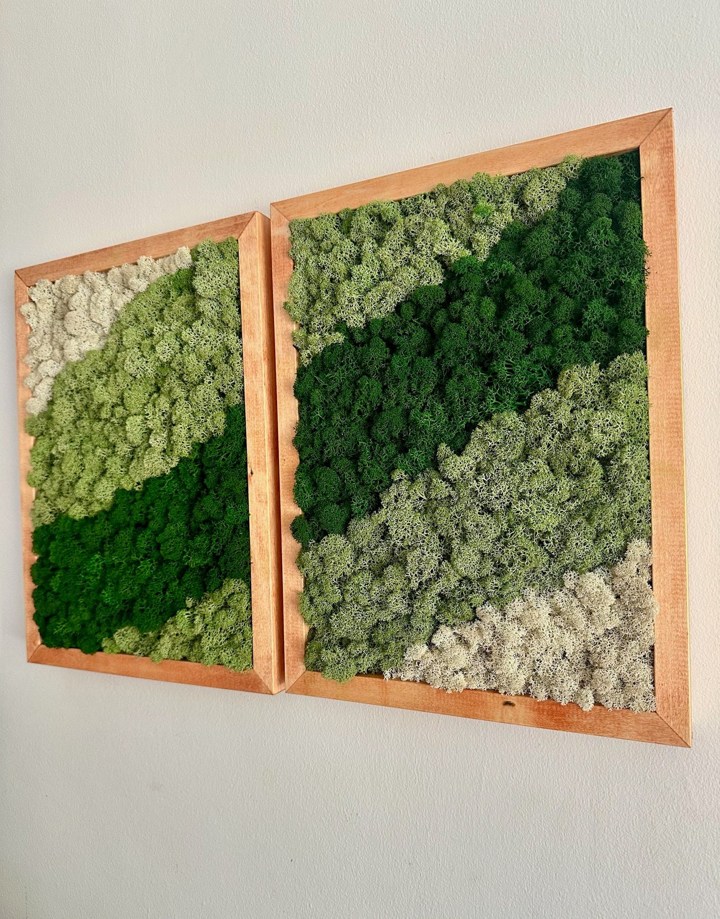 Moss Wall Art | Preserved Moss Framed | Moss Wall Decor | Moss Wall Art | Set of 1 - 4 | Rectangle Wood Frame | Dark Green, Mint and White