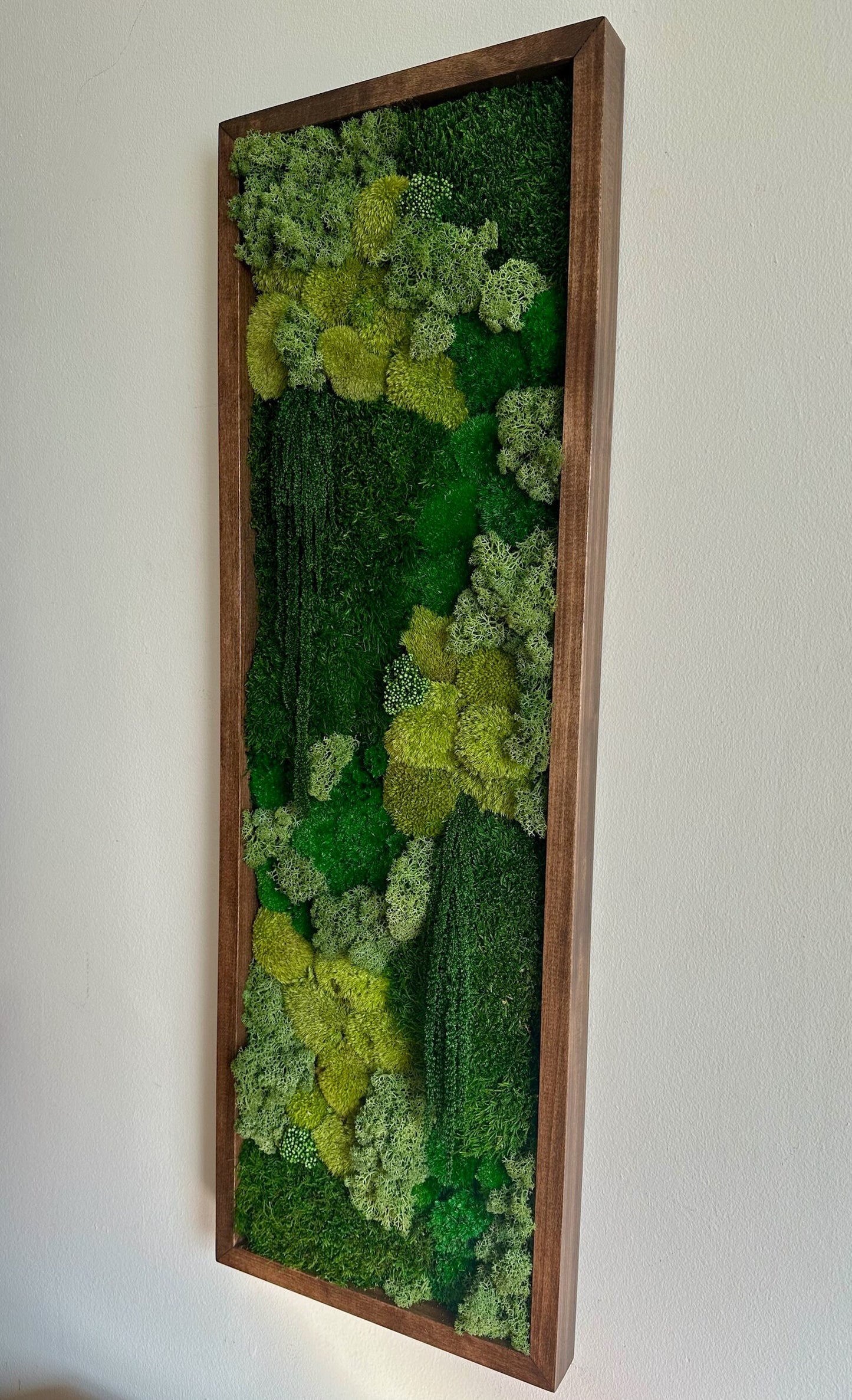 Moss Wall Art | Preserved Moss Art | Moss Wall Decor | Moss Wall Sets | Large Rectangle Single - Six Set | Green Reindeer Sheet + Pole Moss