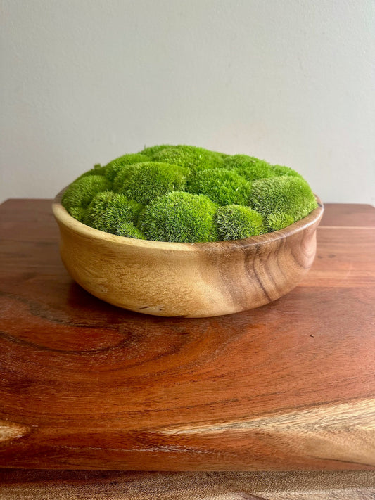 Preserved Pole Moss Bowl | Wood Centerpiece, Natural Decor