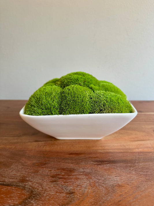 Preserved Moss Bowl Centerpiece: Green Pole Moss & Fern | USA - TARIFF FREE