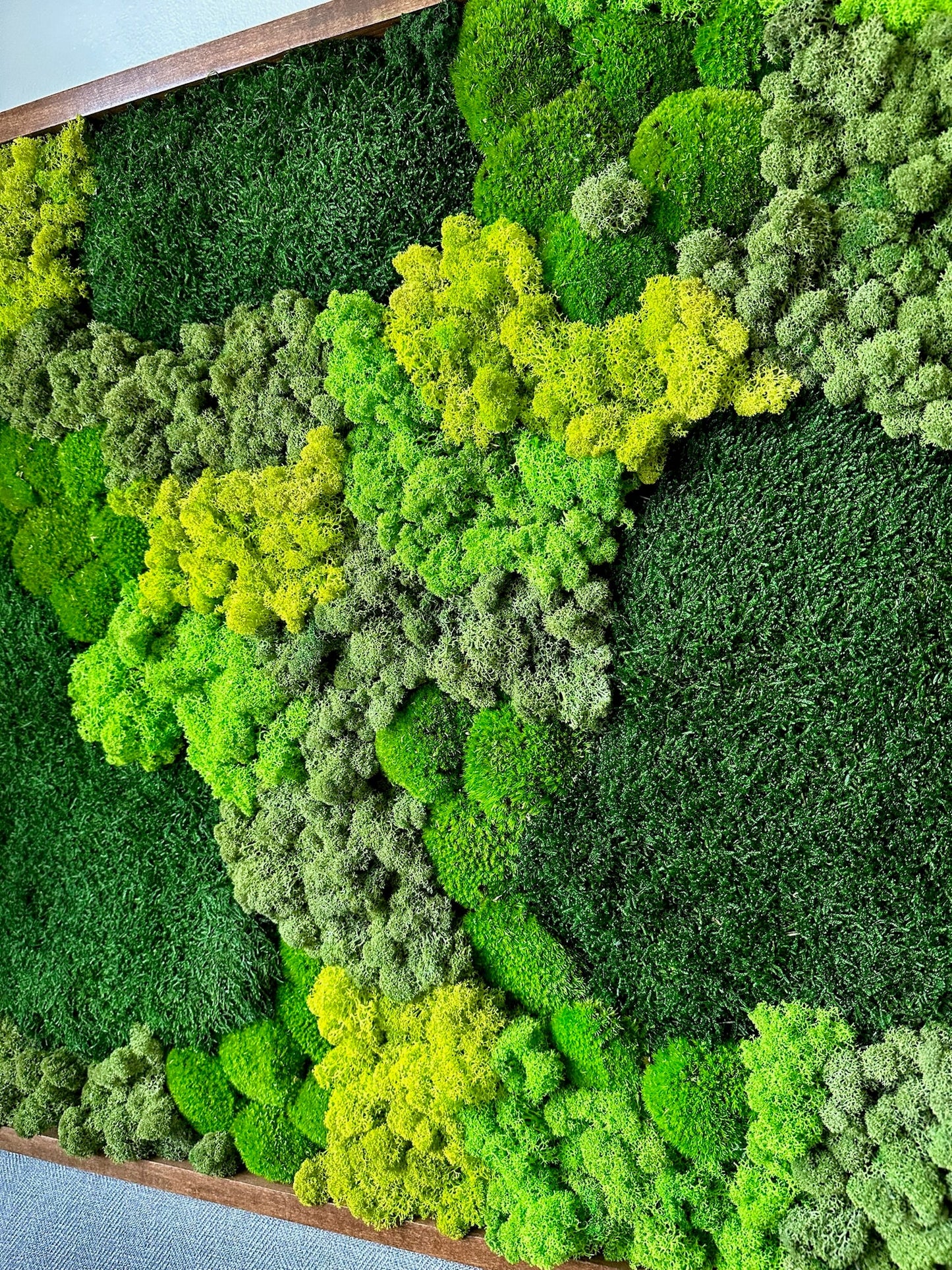 Moss Wall Art | Preserved Moss | Wall Decor | Wood Frames | 30" X 30" or 15" x 30", 1 to Set of 4 | Green Reindeer Moss, Sheet, Pole Moss
