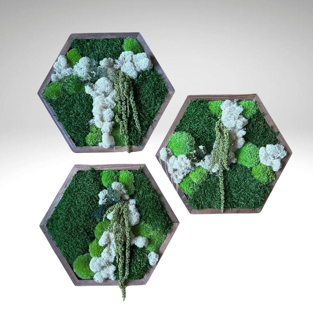 Honeycomb Moss Wall Art: Preserved Reindeer Moss & Amaranthus | USA - TARIFF FREE