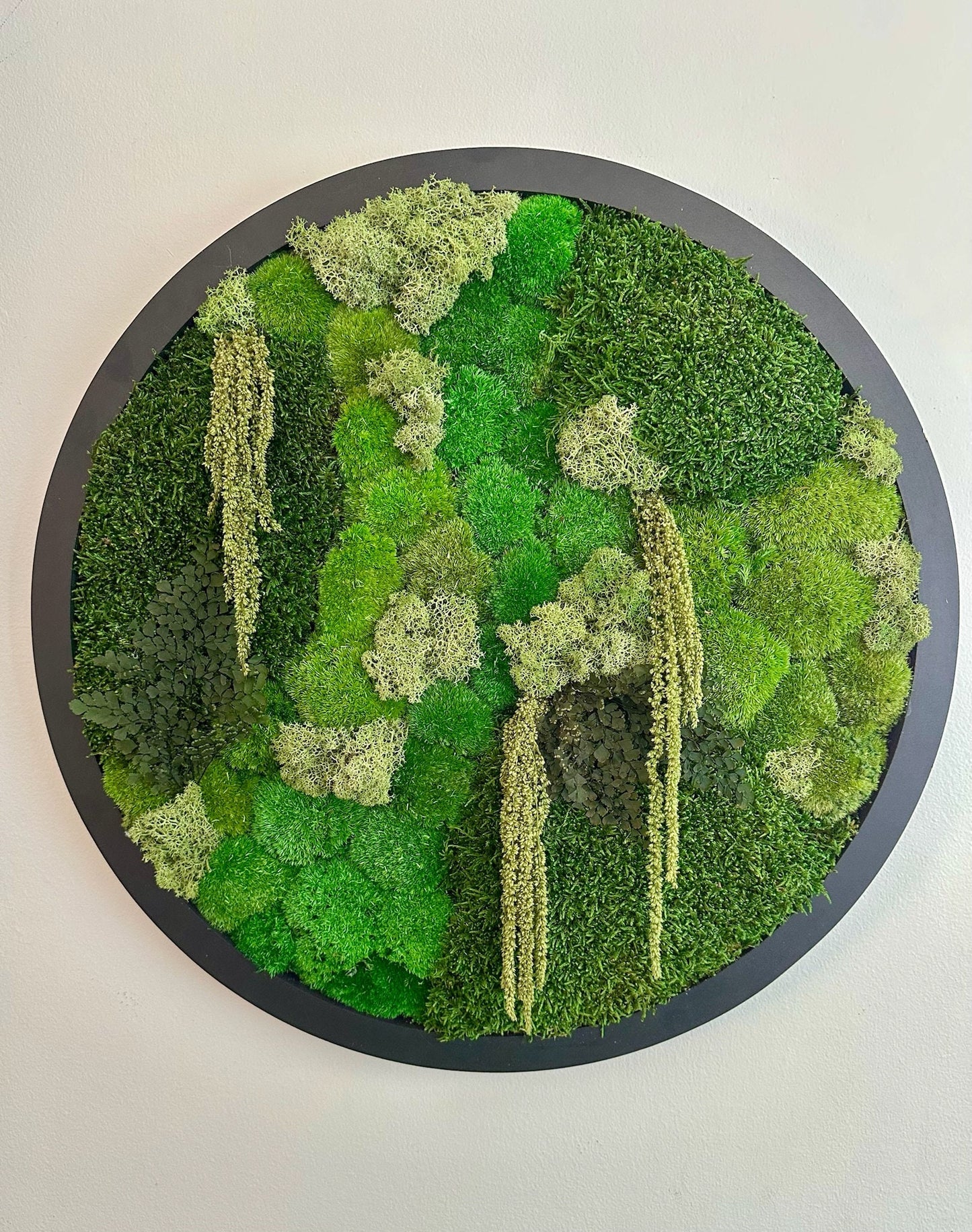 Moss Wall Art Circle Frame | Preserved Moss Art Framed | Moss Wall Decor | Size is 20" | Reindeer & Sheet Moss | Christmas Gift