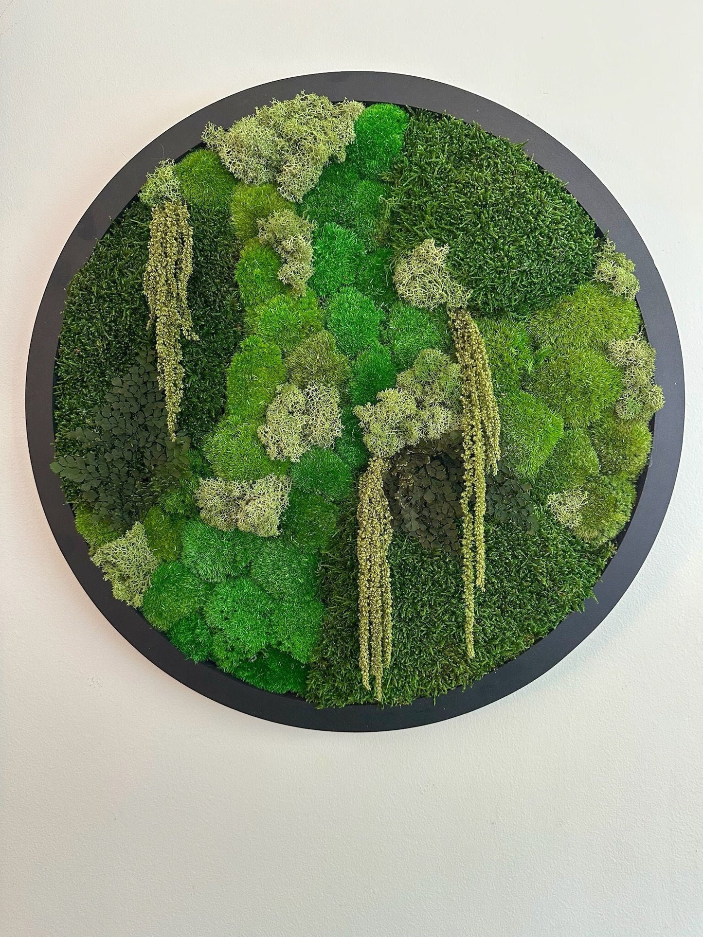 Moss Wall Art Circle Frame | Preserved Moss Art Framed | Moss Wall Decor | Size is 20" | Reindeer & Sheet Moss | Christmas Gift
