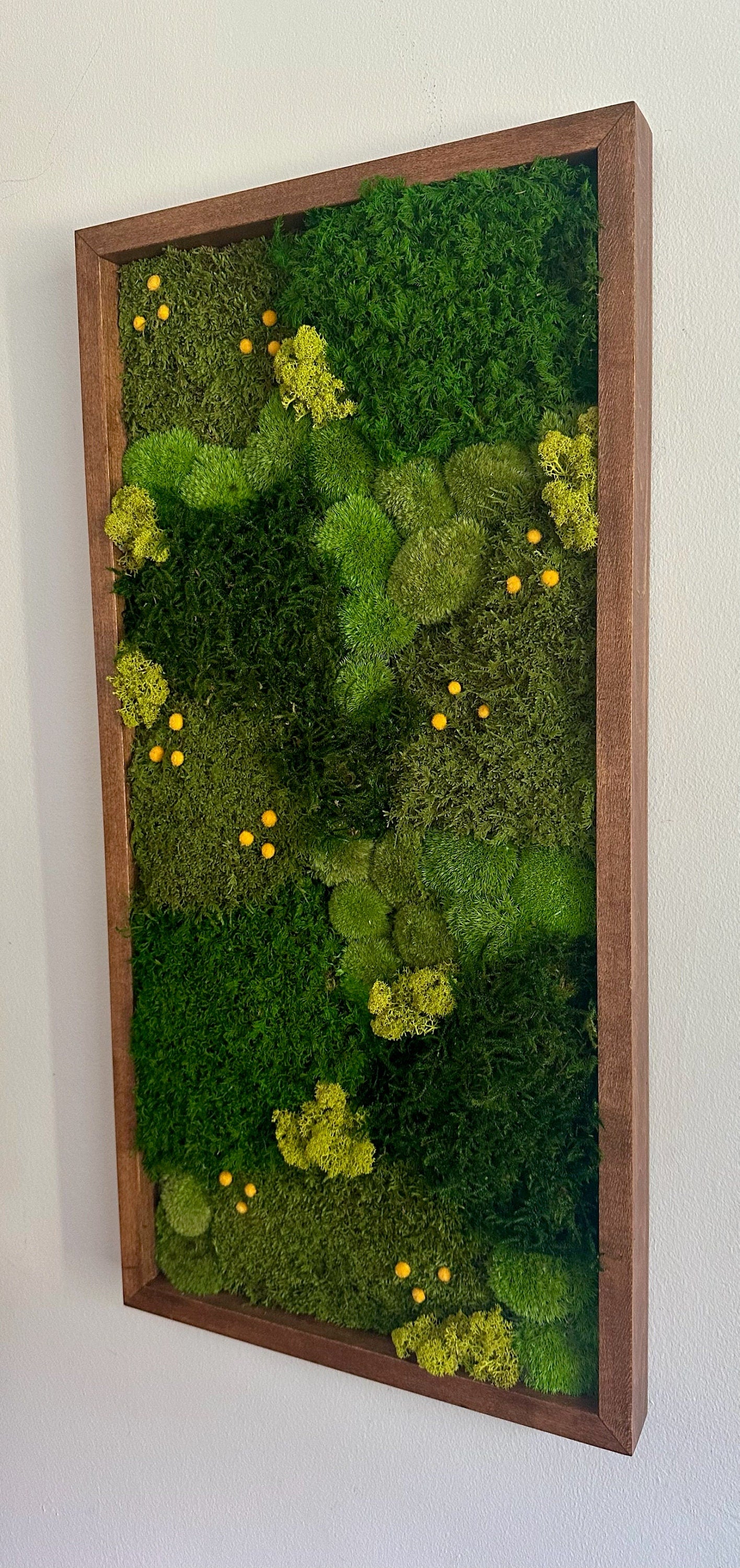 Moss Wall Art | Preserved Moss Art | Moss Wall Decor | Wood Frame Sets | 15" x 30" Rectangle Set 1 to 4 | Lycopodium Moss, Fern & Pole Moss