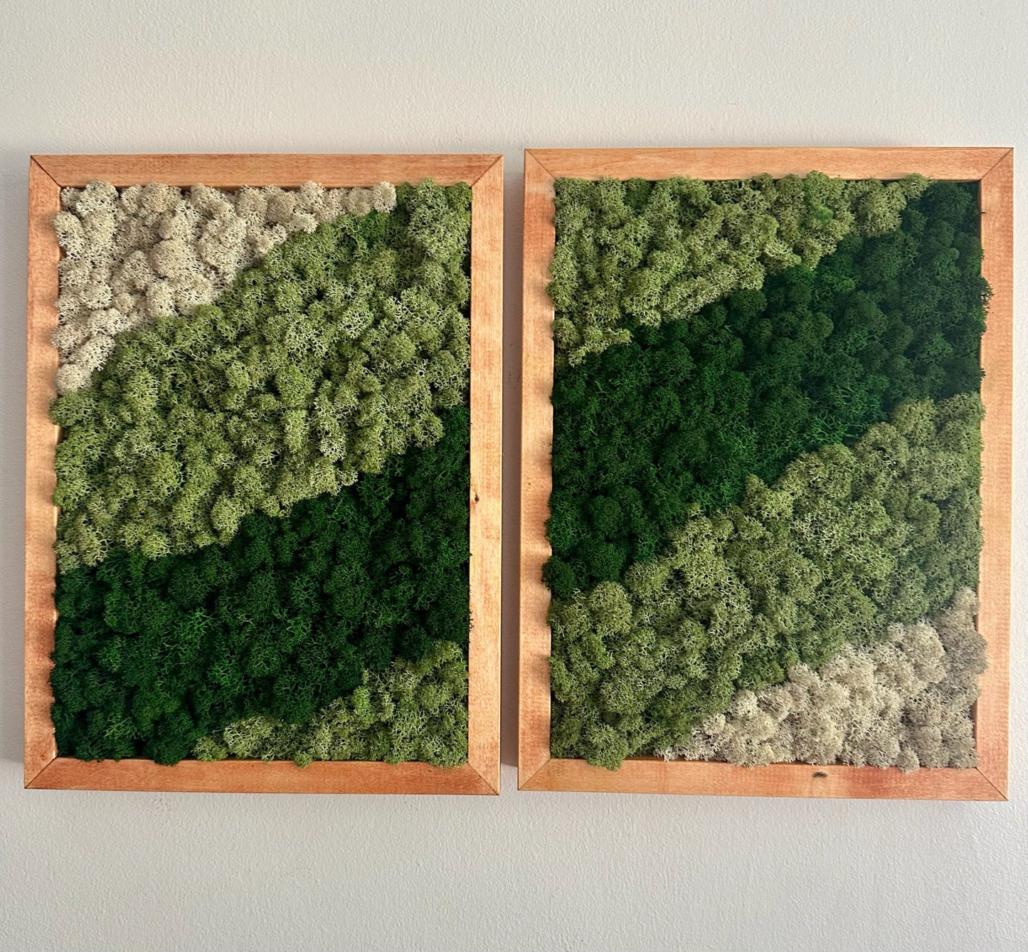 Moss Wall Art | Preserved Moss Framed | Moss Wall Decor | Moss Wall Art | Set of 1 - 4 | Rectangle Wood Frame | Dark Green, Mint and White