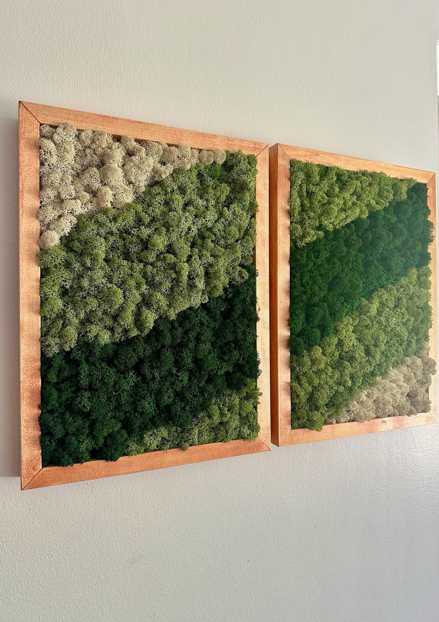 Moss Wall Art | Preserved Moss Framed | Moss Wall Decor | Moss Wall Art | Set of 1 - 4 | Rectangle Wood Frame | Dark Green, Mint and White