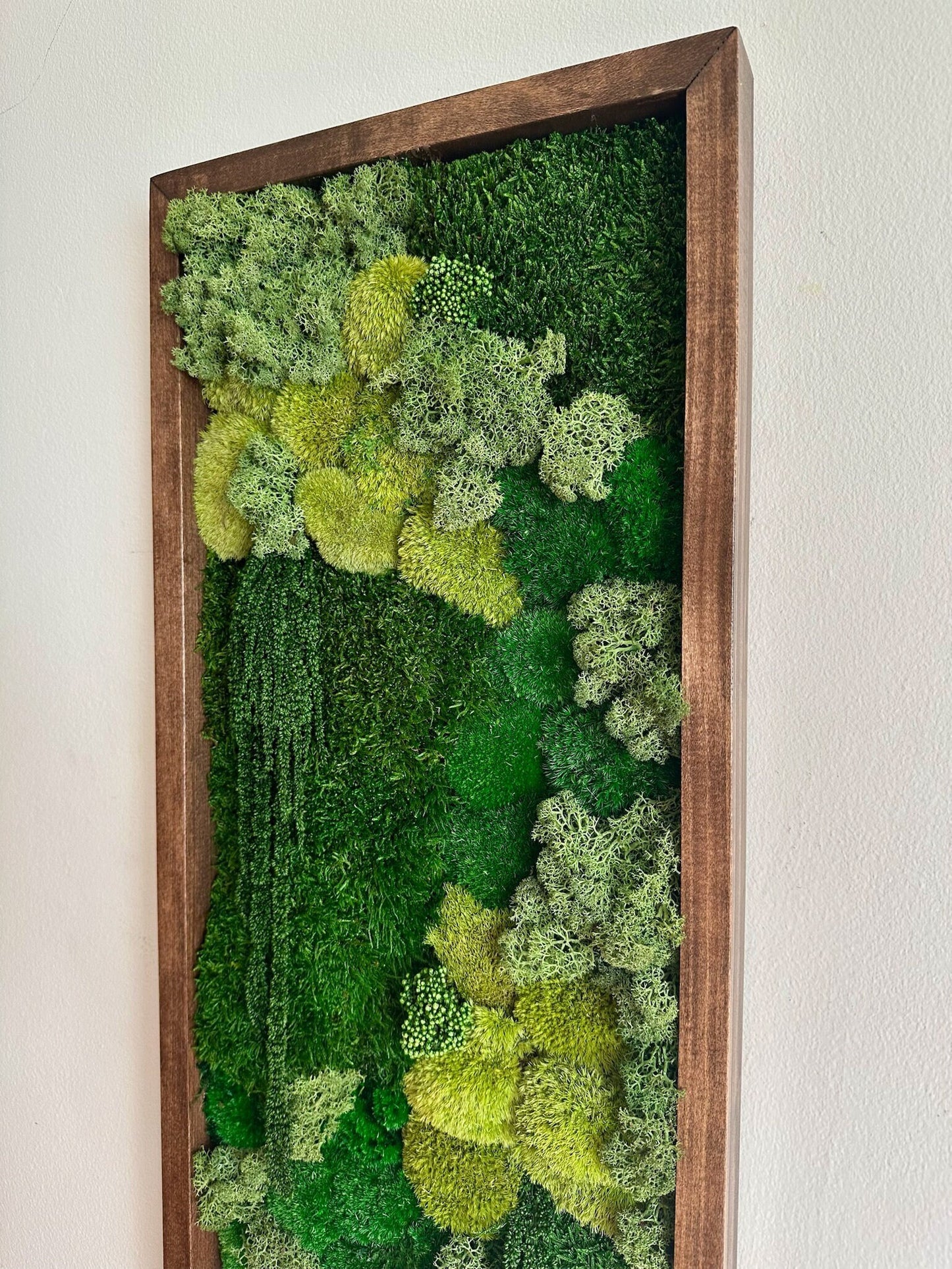 Moss Wall Art | Preserved Moss Art | Moss Wall Decor | Moss Wall Sets | Large Rectangle Single - Six Set | Green Reindeer Sheet + Pole Moss