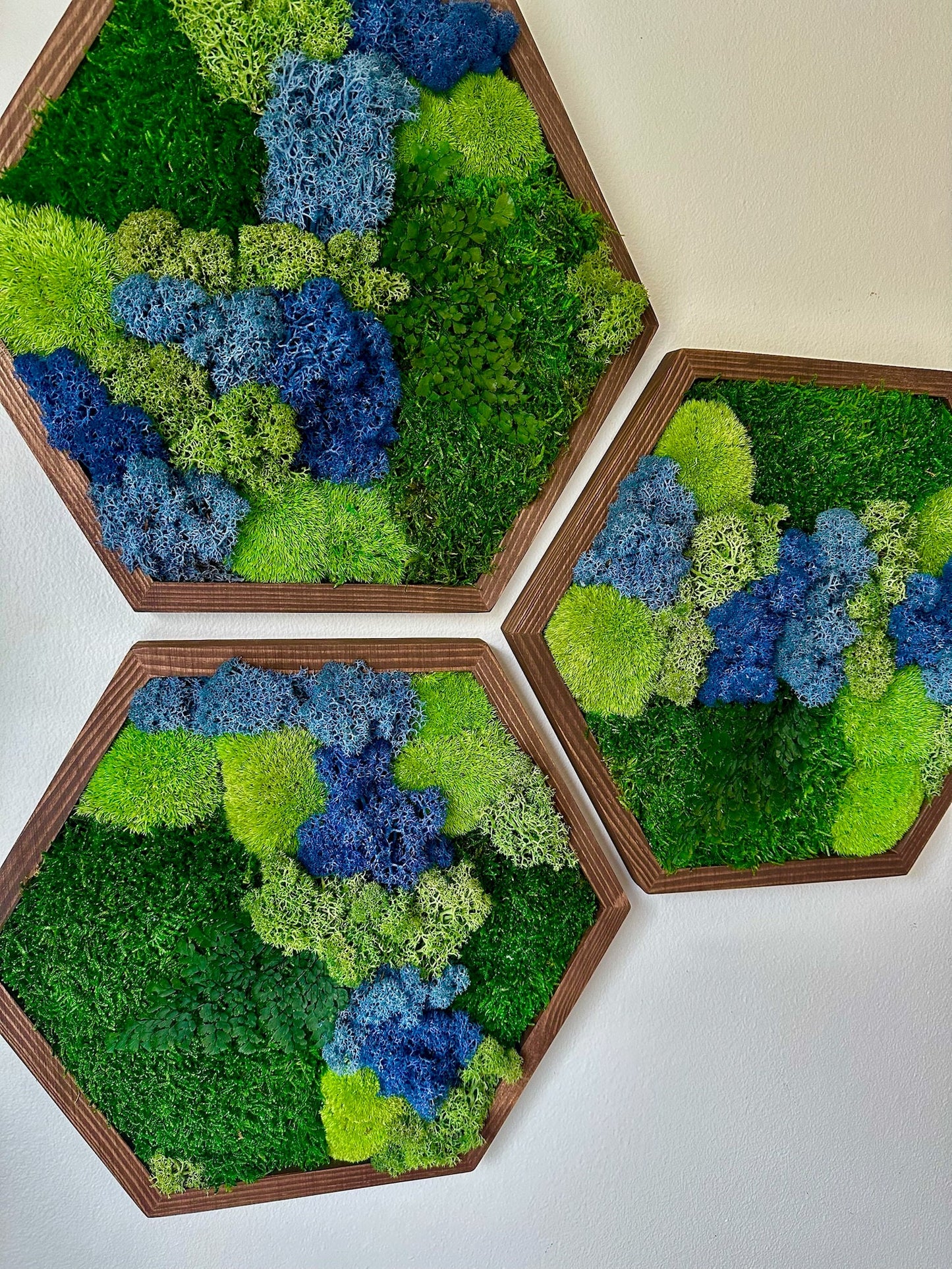Honeycomb Moss Wall Art: Reindeer & Sheet Moss in Wood Hexagon | USA - TARIFF FREE
